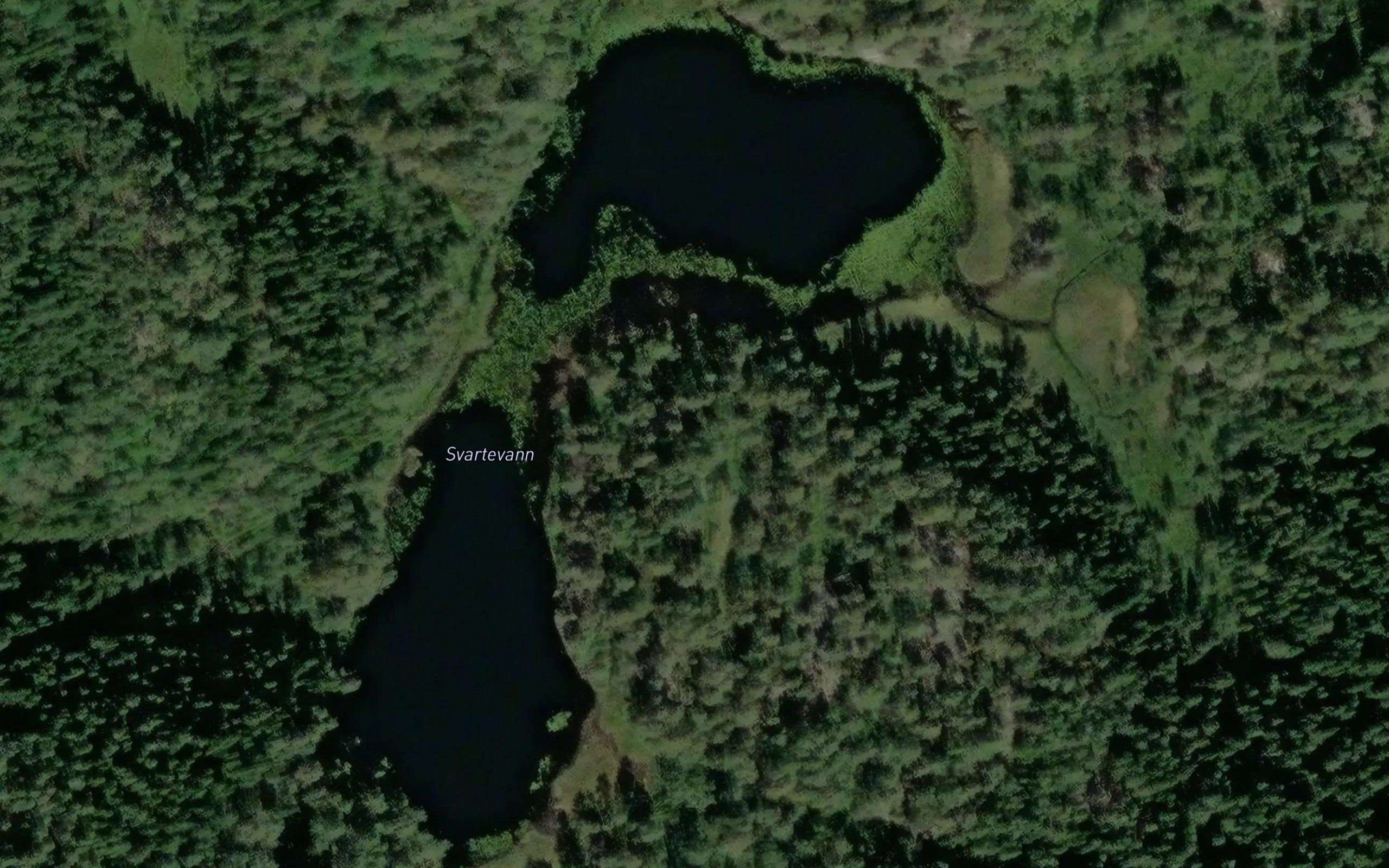 Svartevann