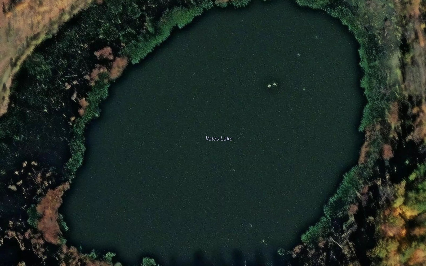 Satellite map of the Vales Lake