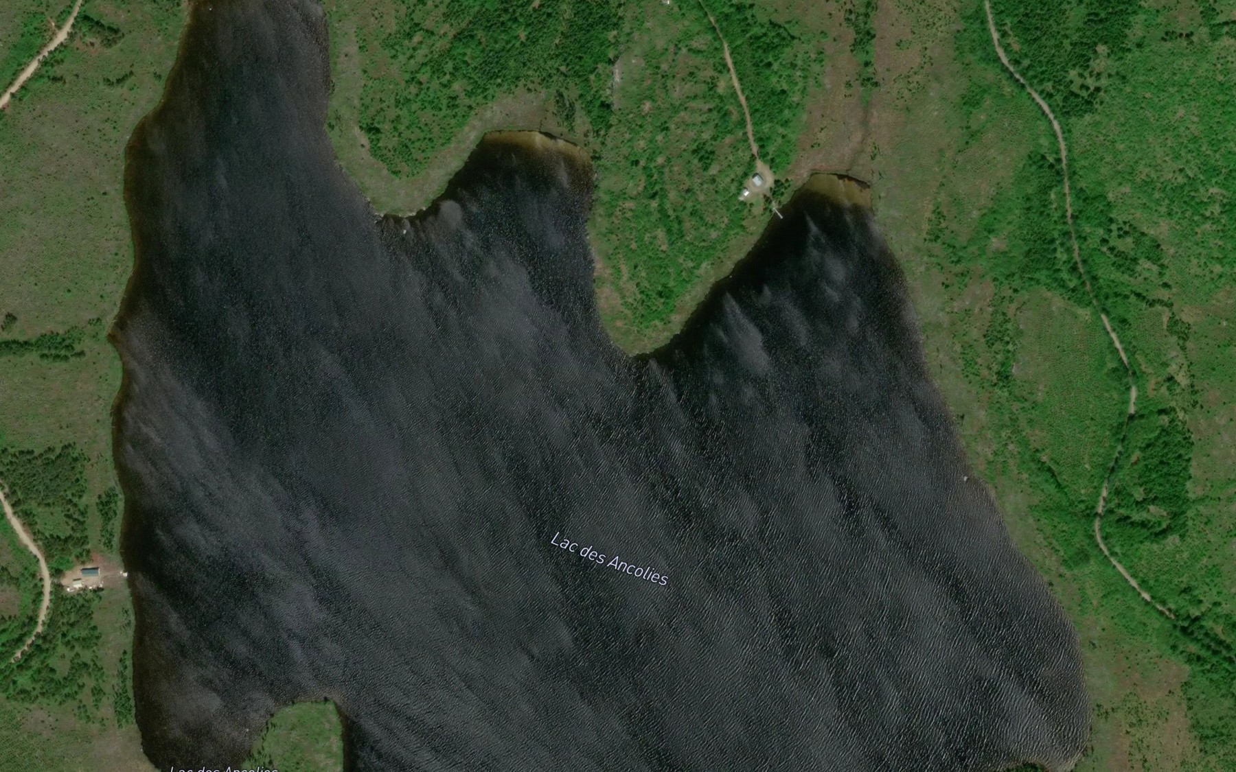 Satellite map of the Lac des Ancolies