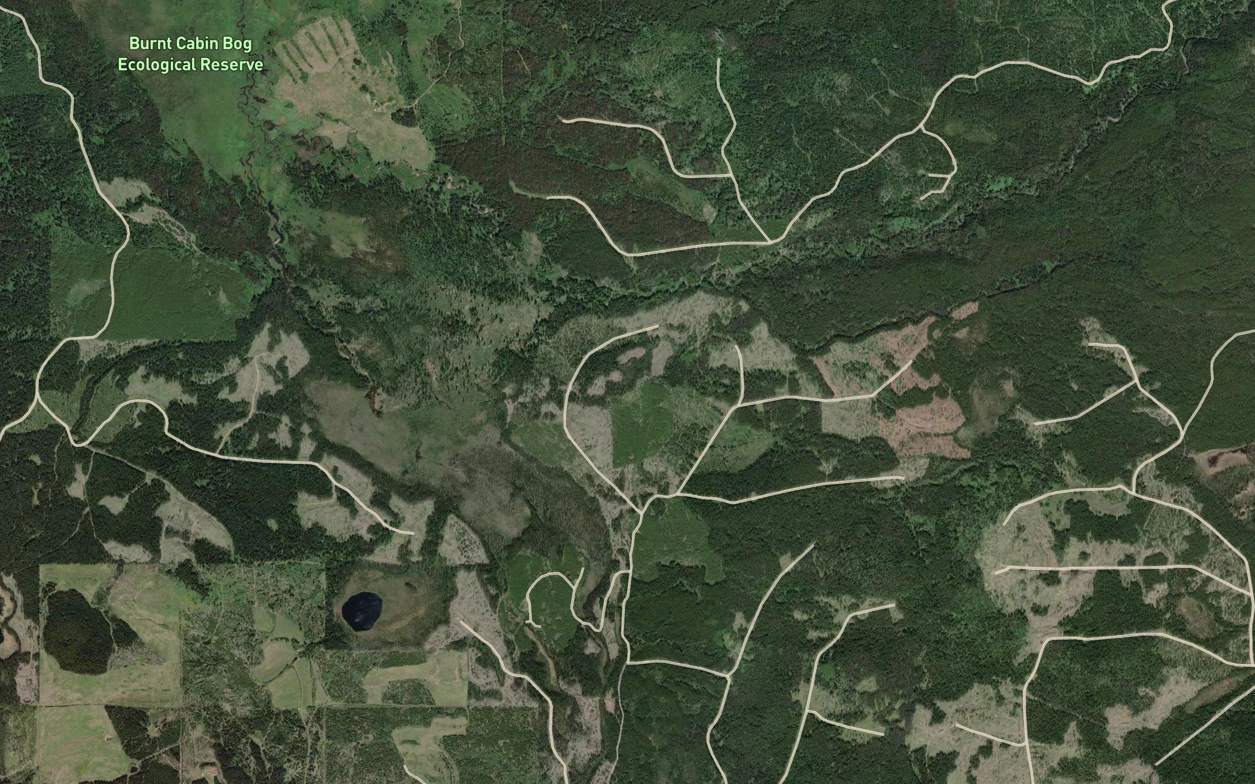 Burbridge Creek