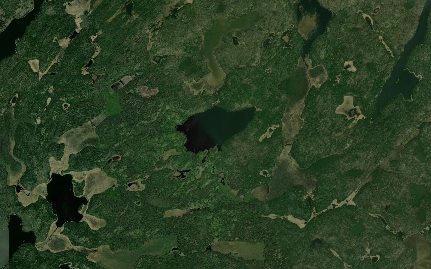 Satellite map of the Don Lake
