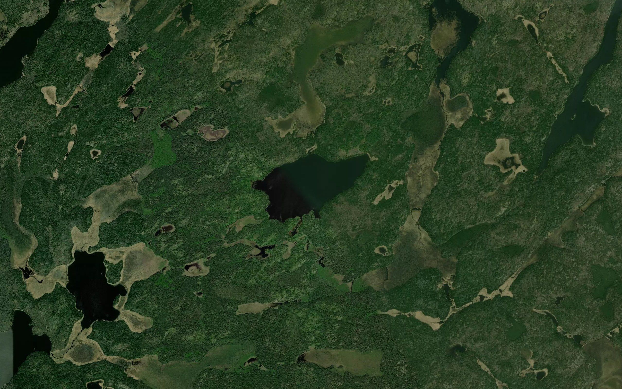 Don Lake