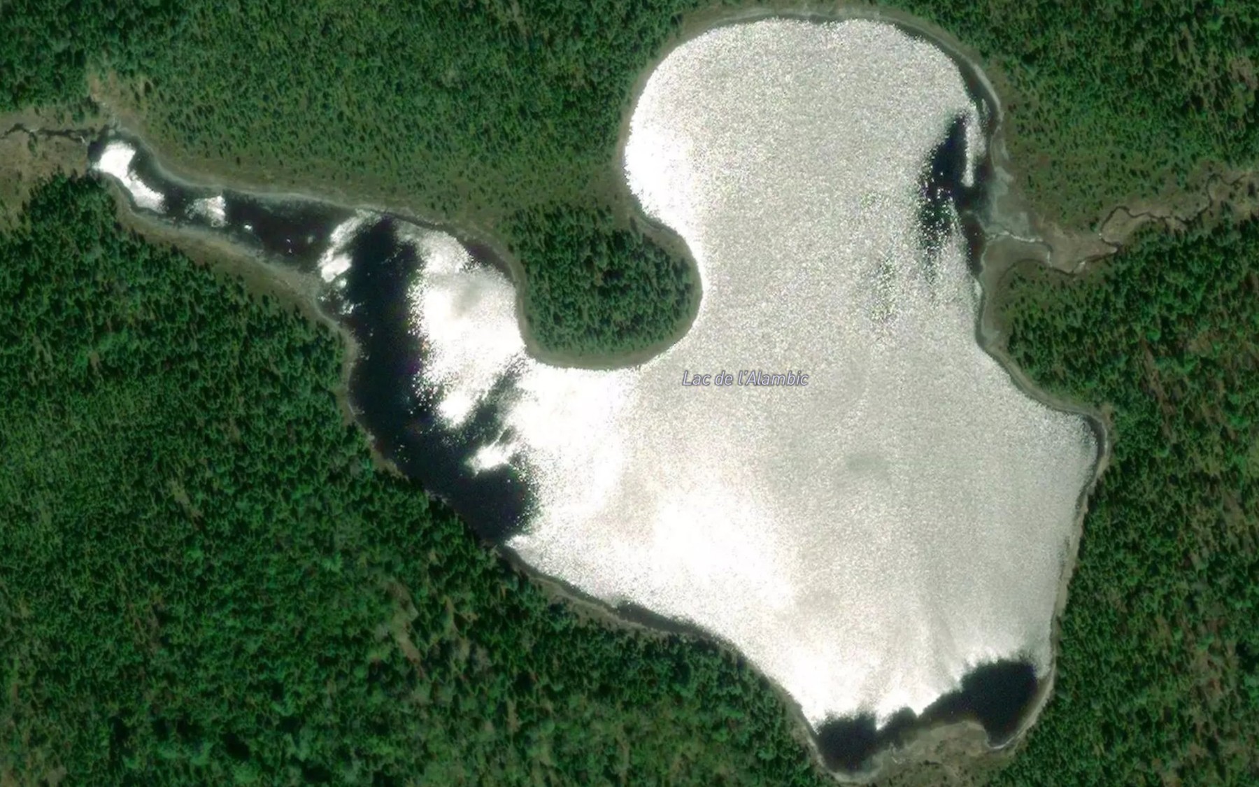Satellite map of the Lac de l'Alambic