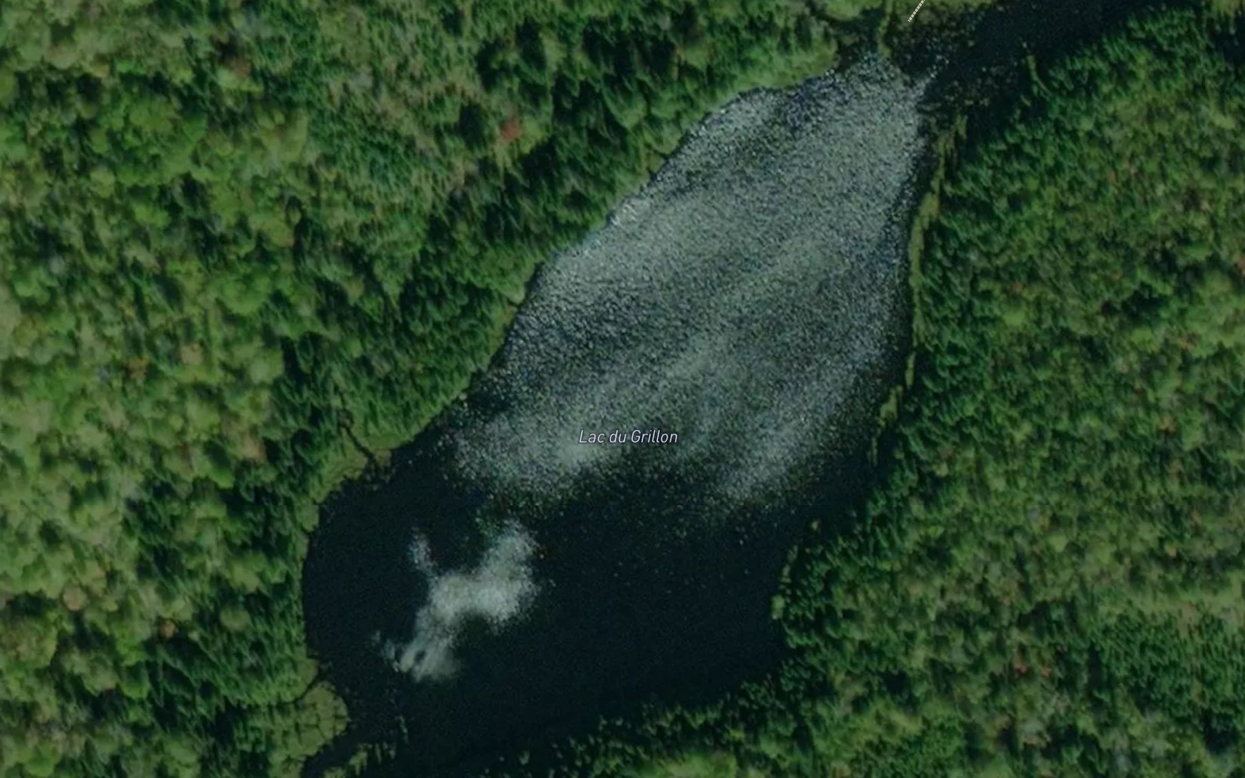 Satellite map of the Lac du Grillon