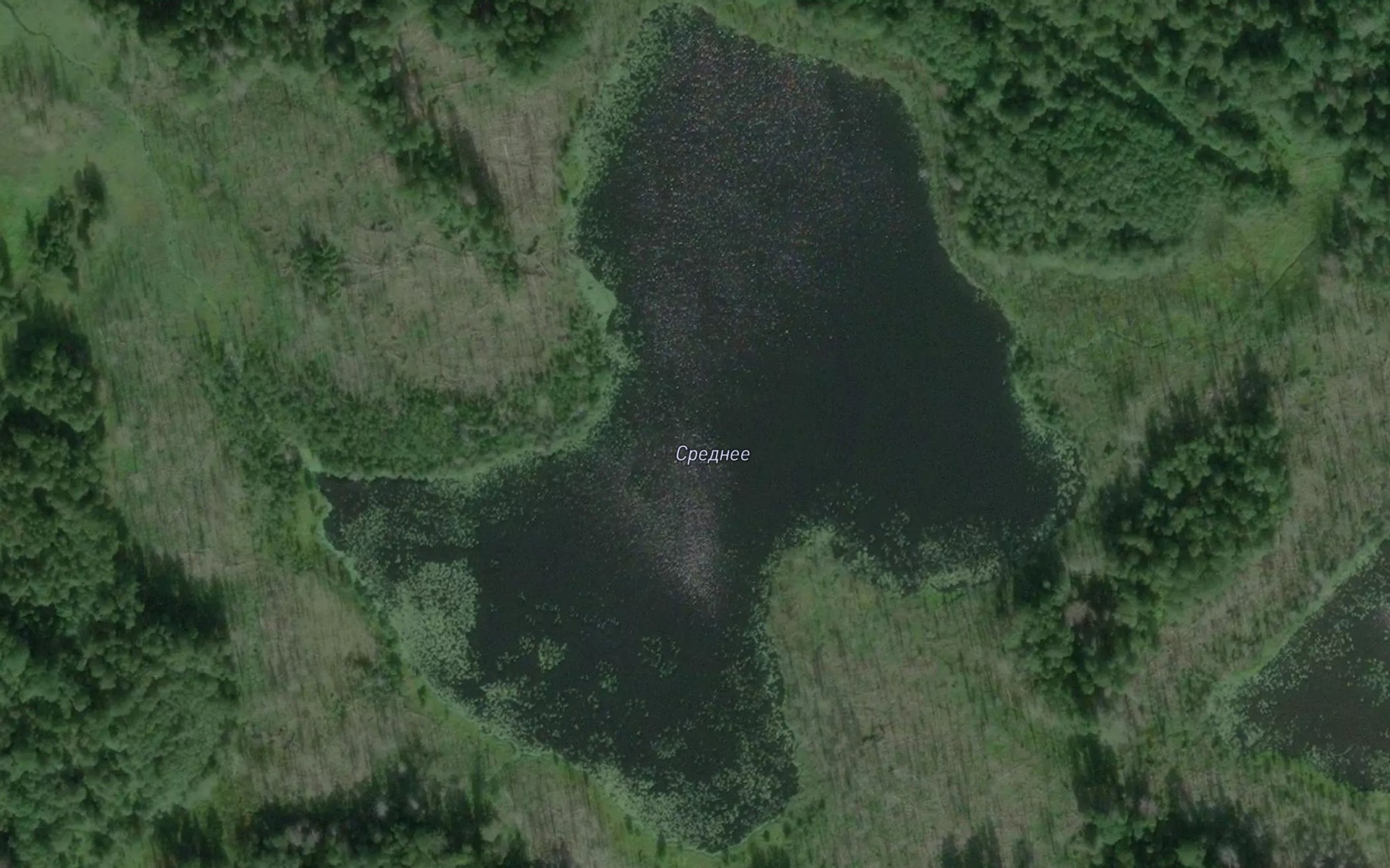 Satellite map of the Ozero Sredneye