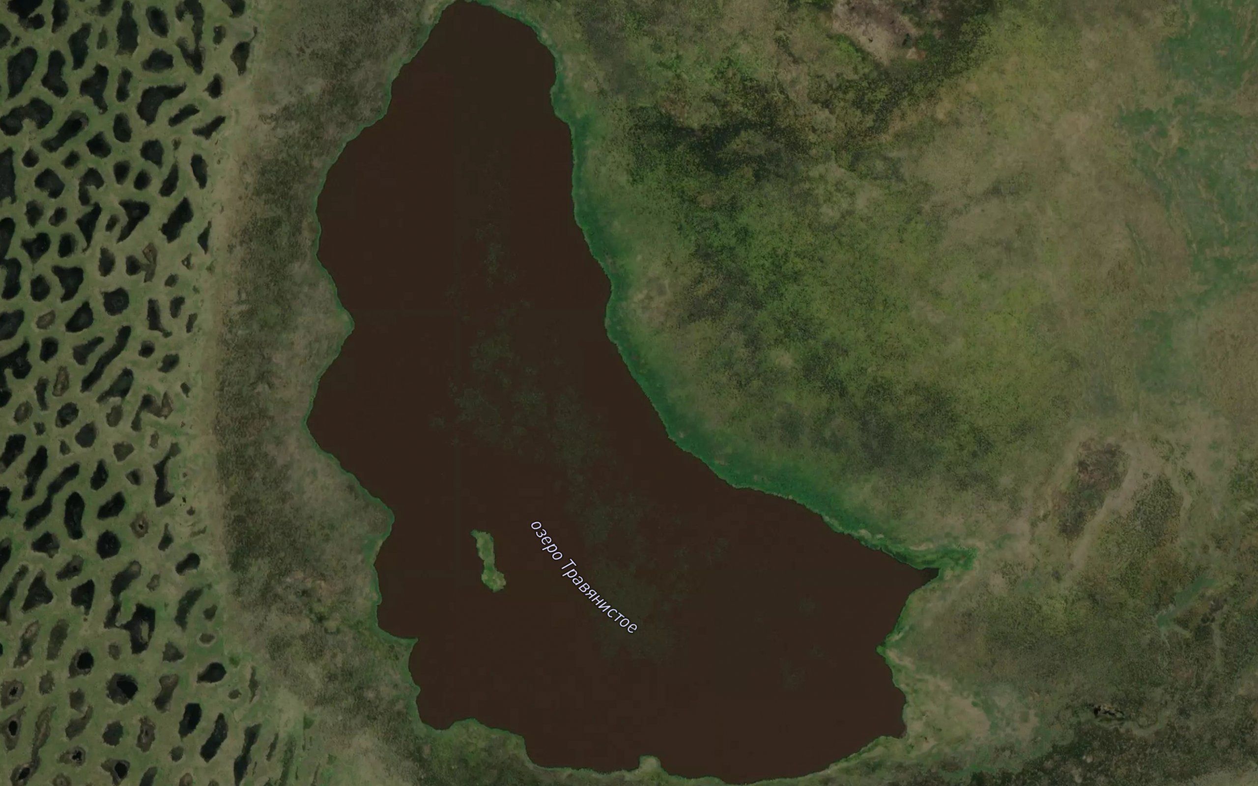 Ozero Travyanistoye