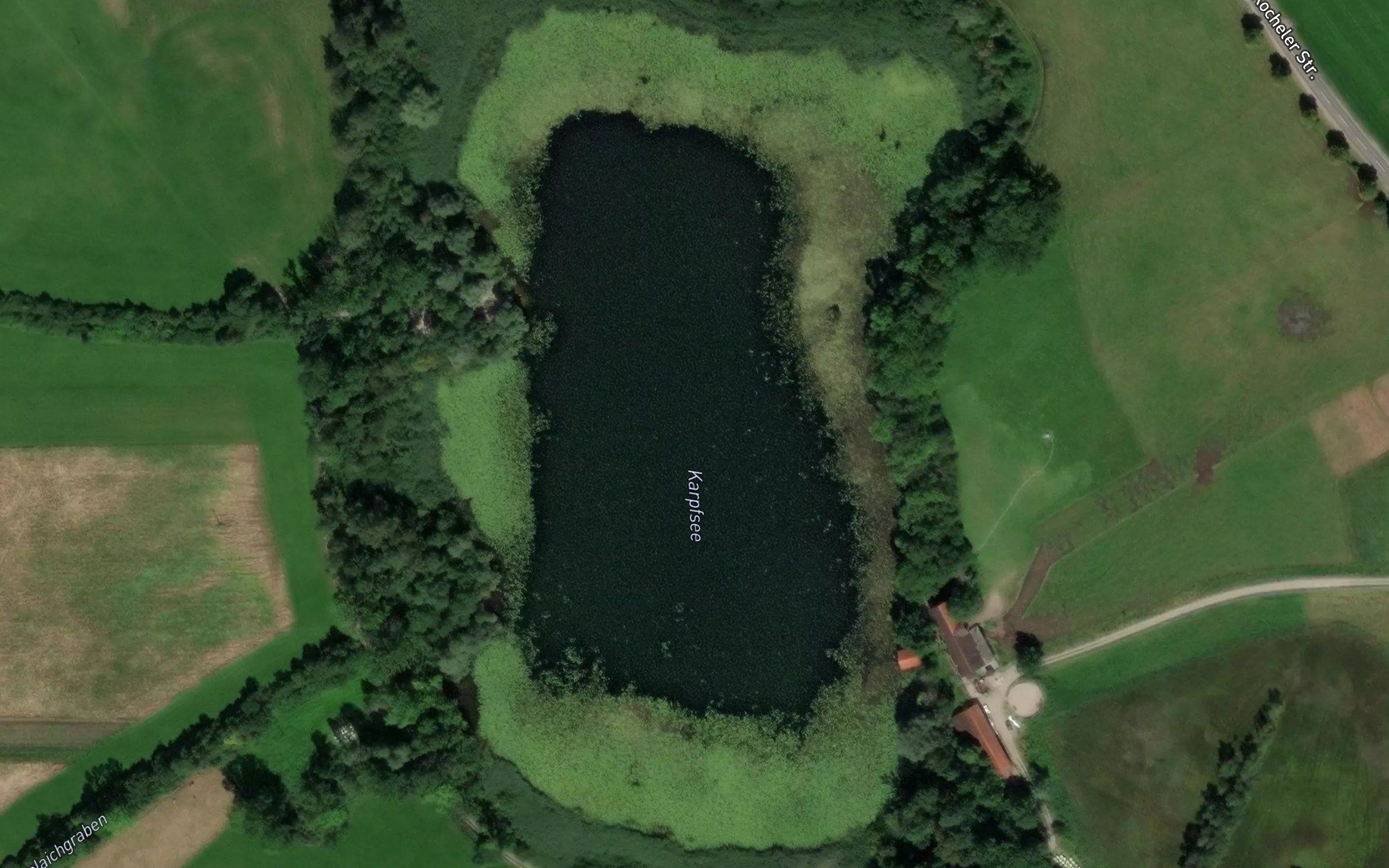 Karpfsee