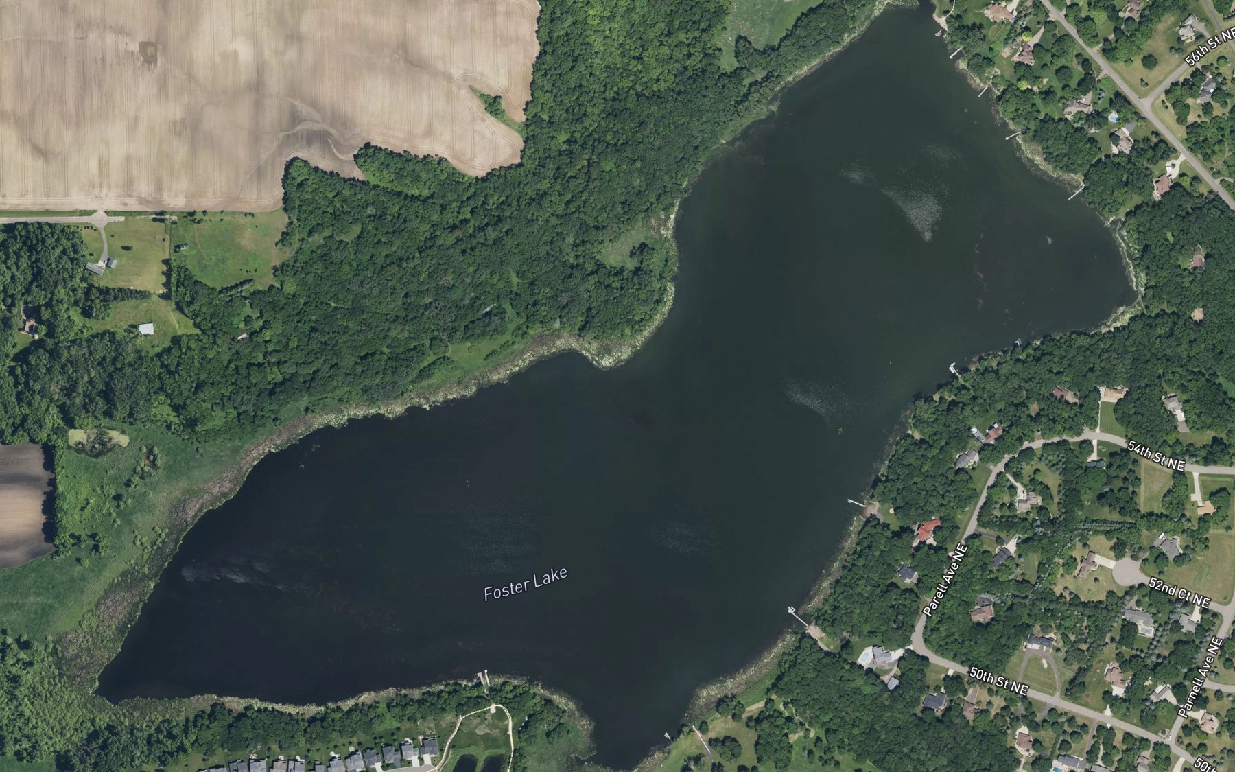 Satellite map of the Foster Lake