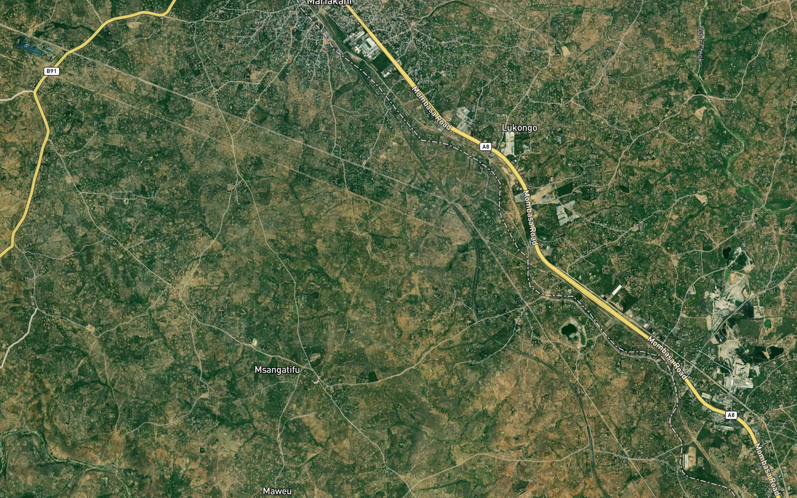Kavingo