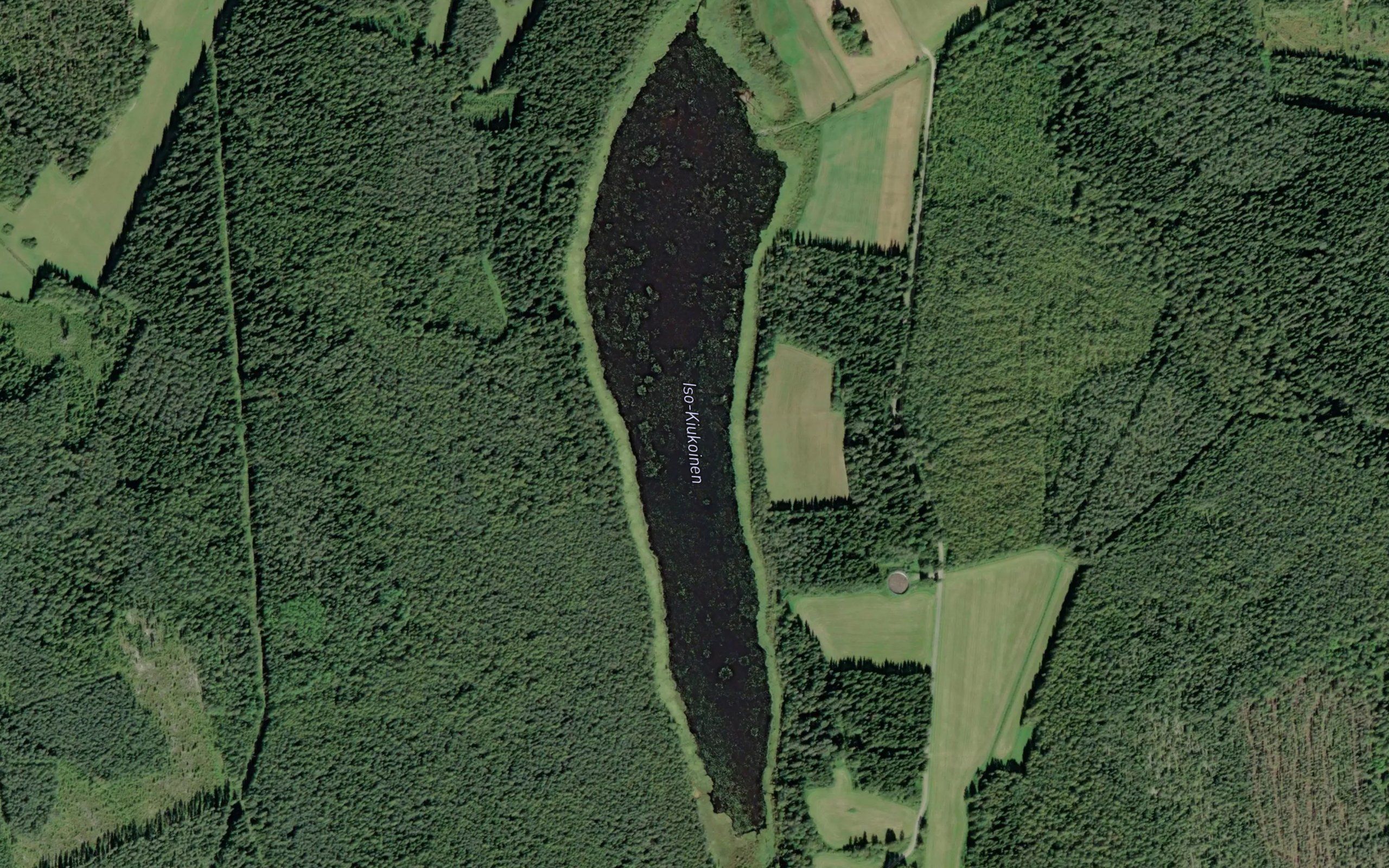 Iso-Kiukoinen