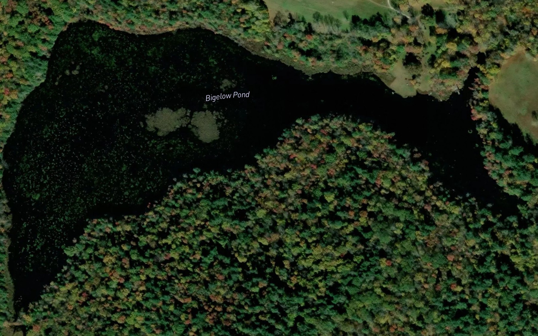 Satellite map of the Bigelow Pond