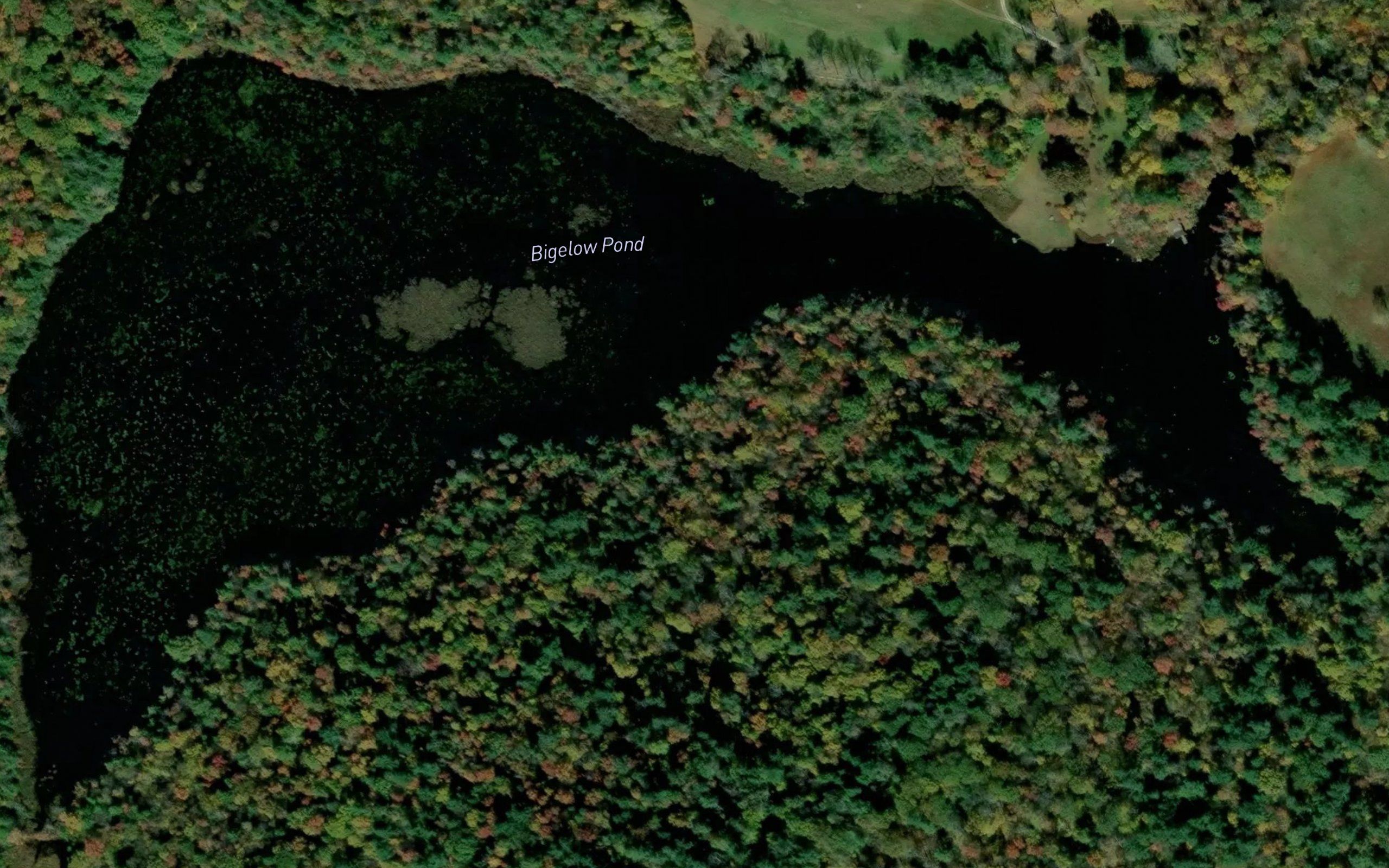 Bigelow Pond