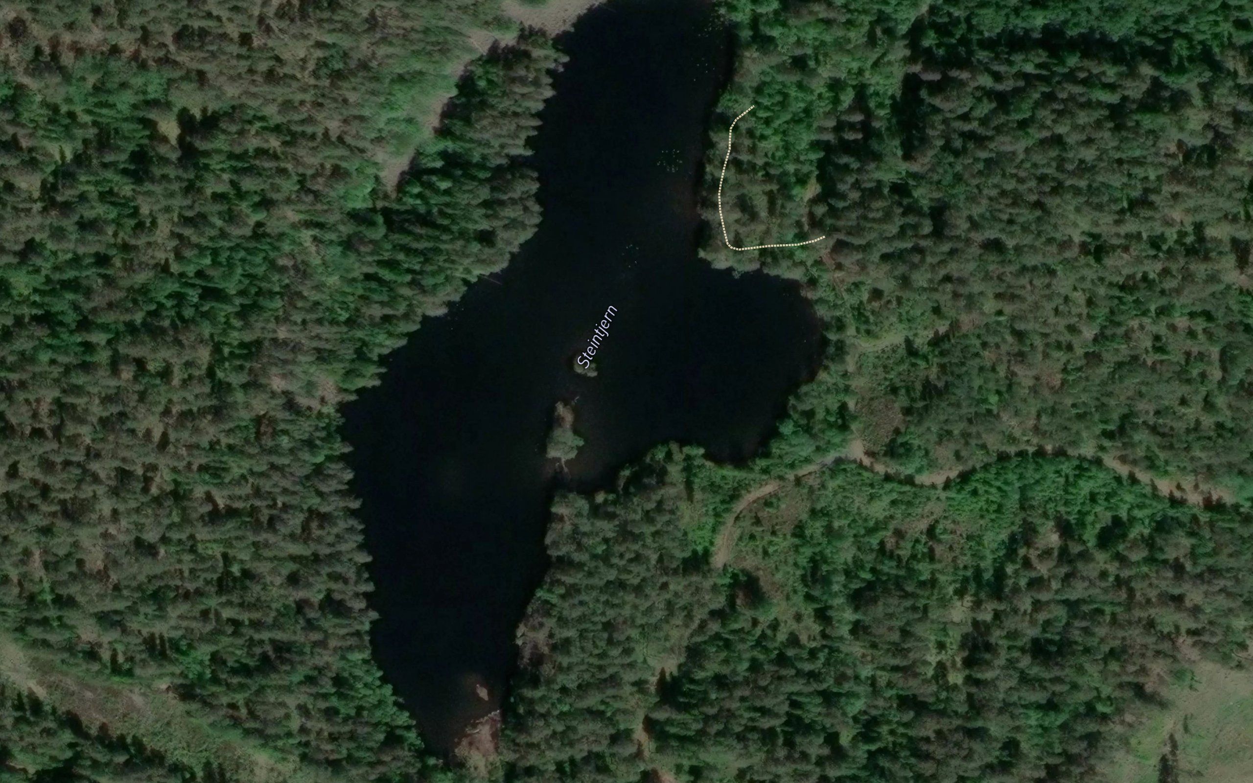 Steintjern