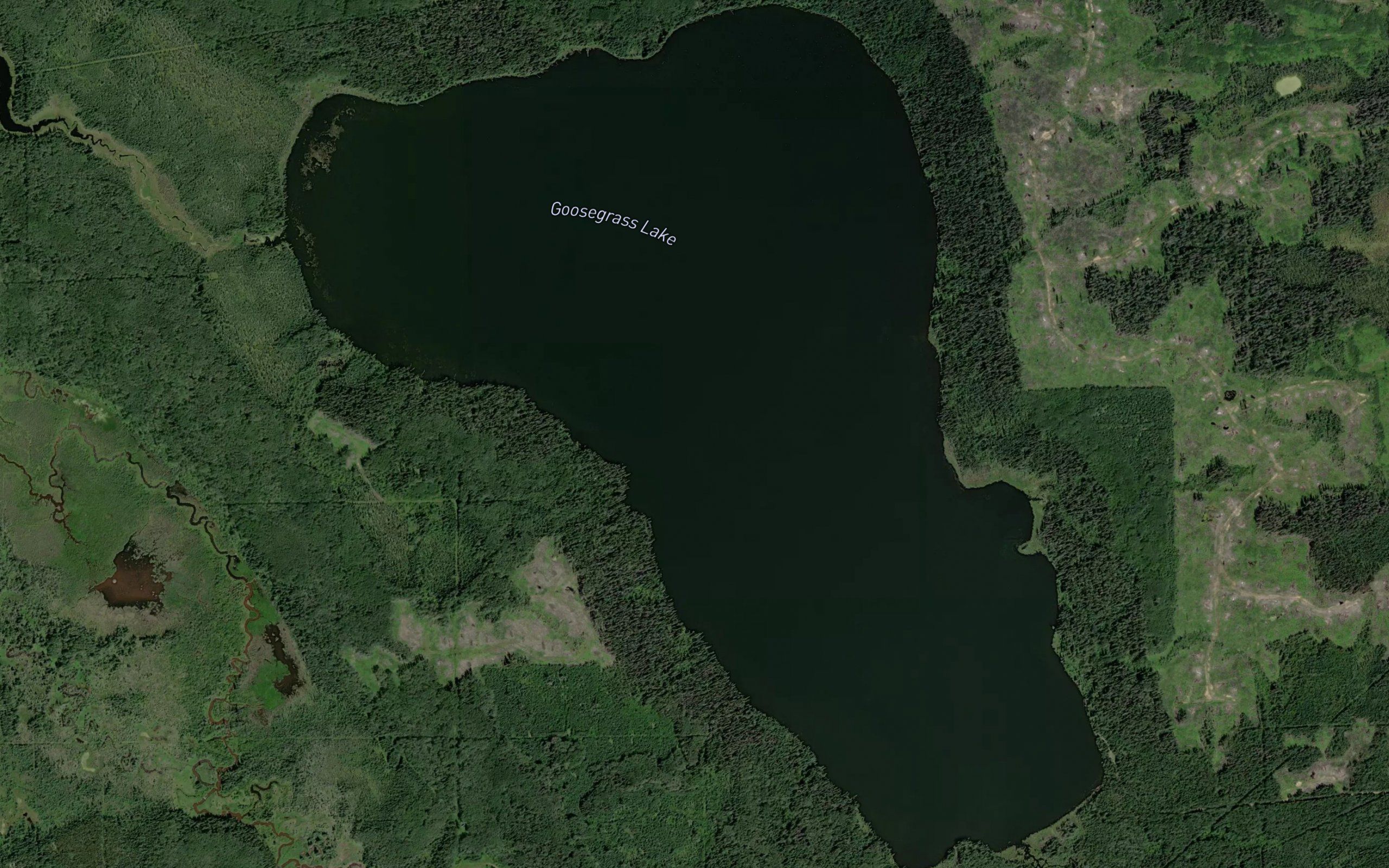 Goosegrass Lake