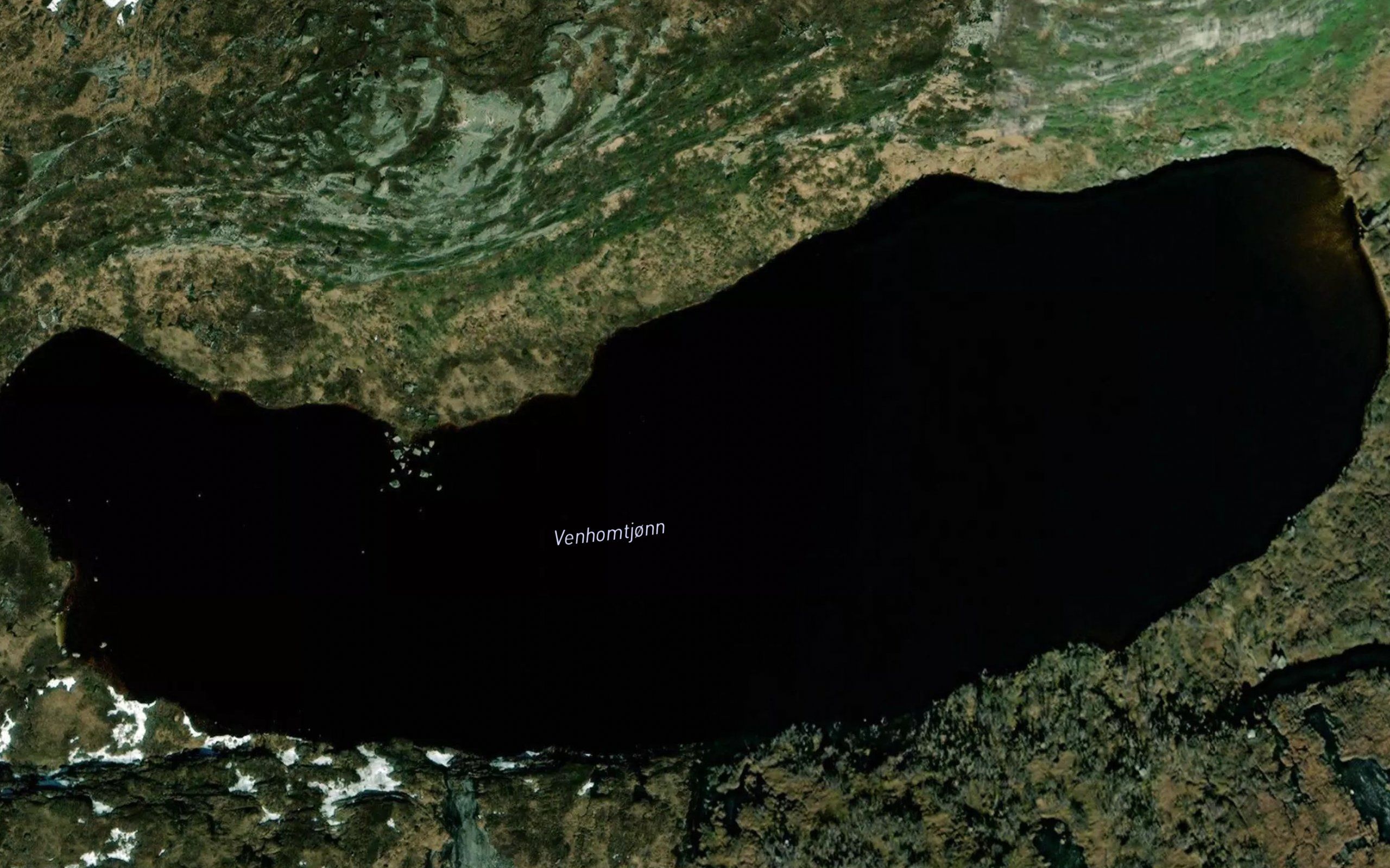 Venhomtjonn