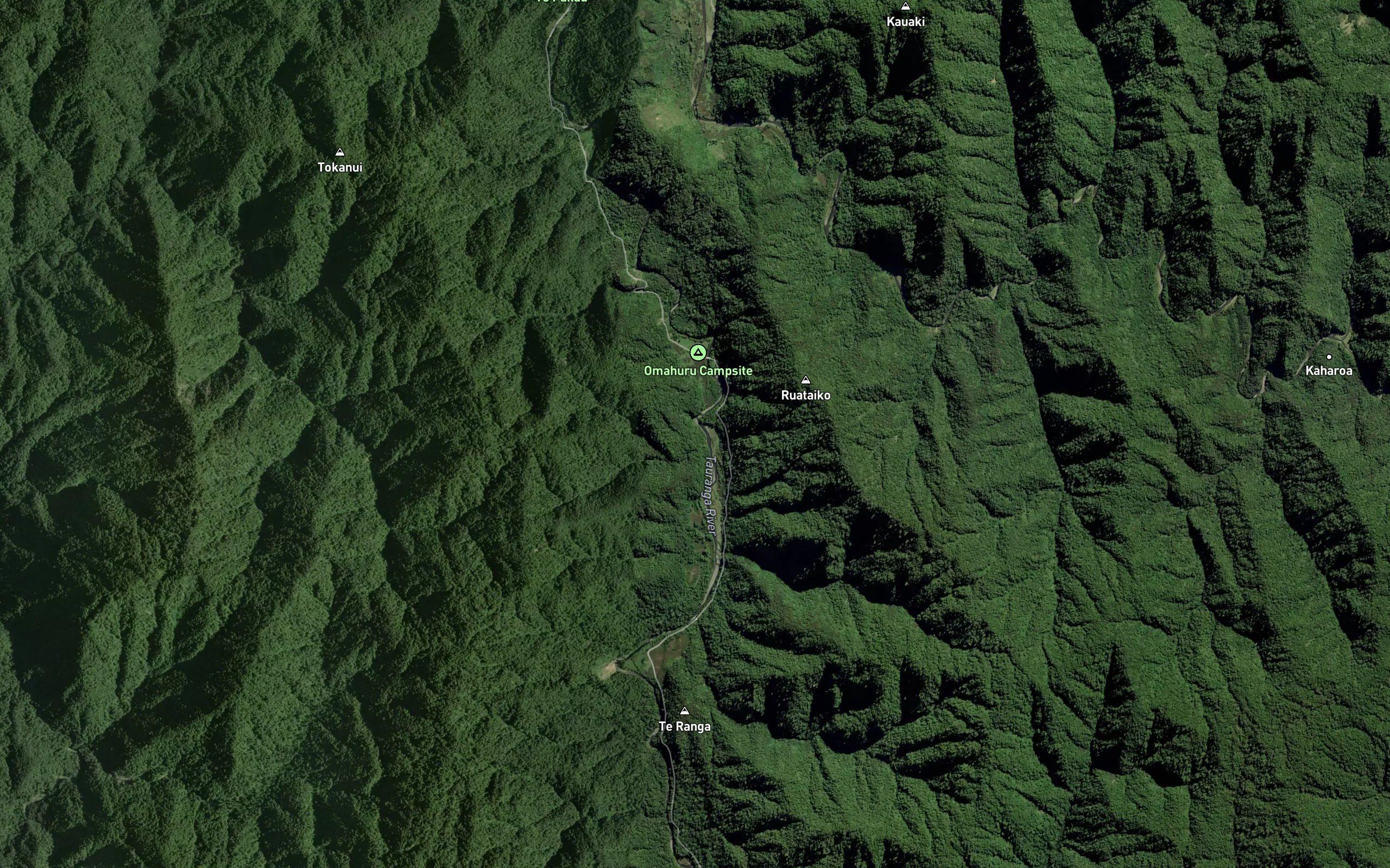 Urewera Stream