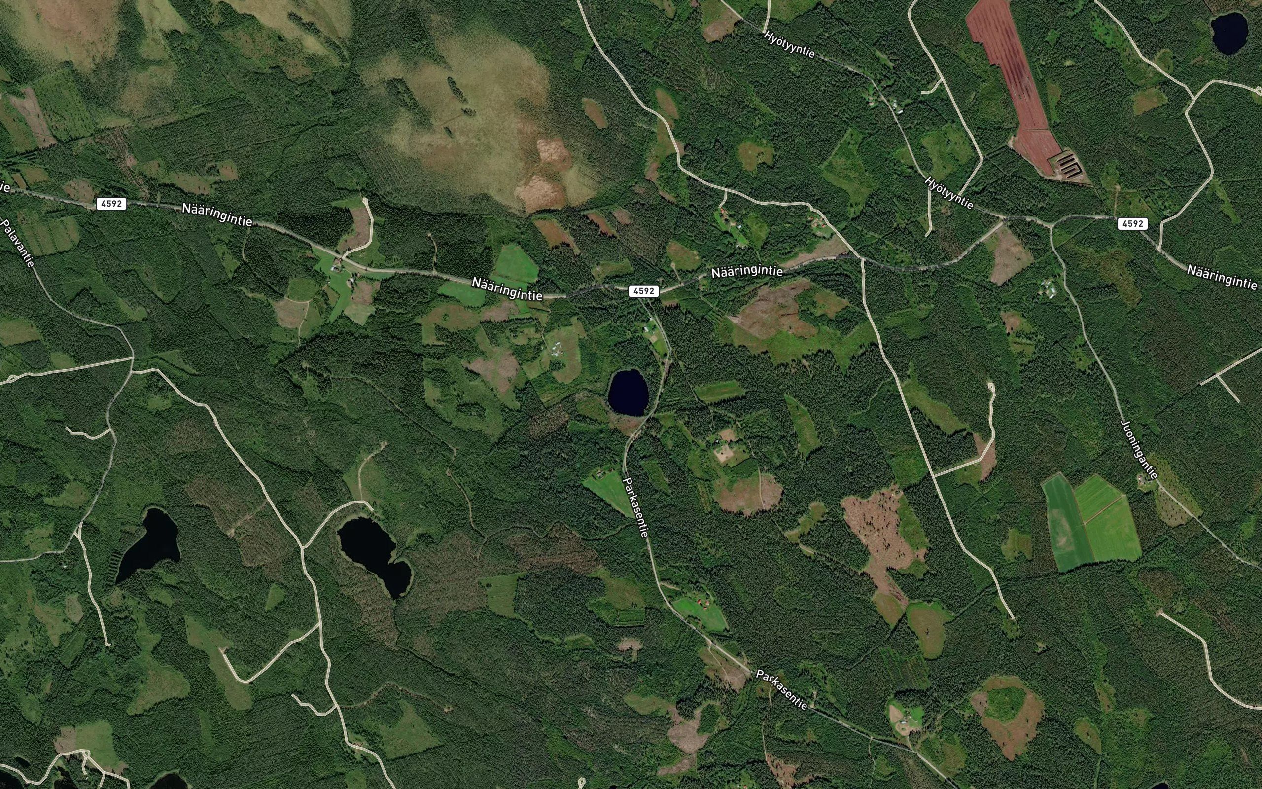 Tiuhtlampi