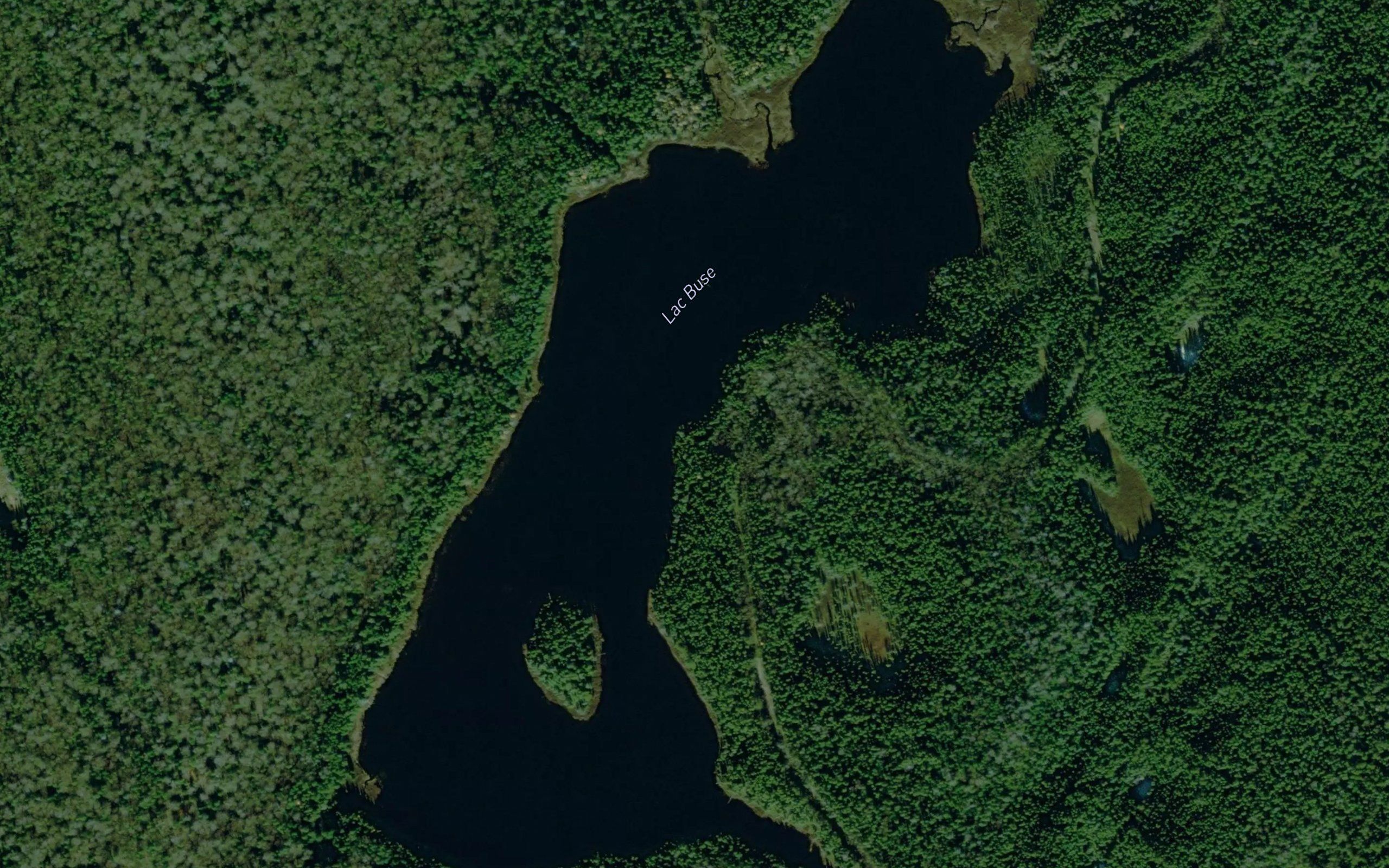 Lac Buse