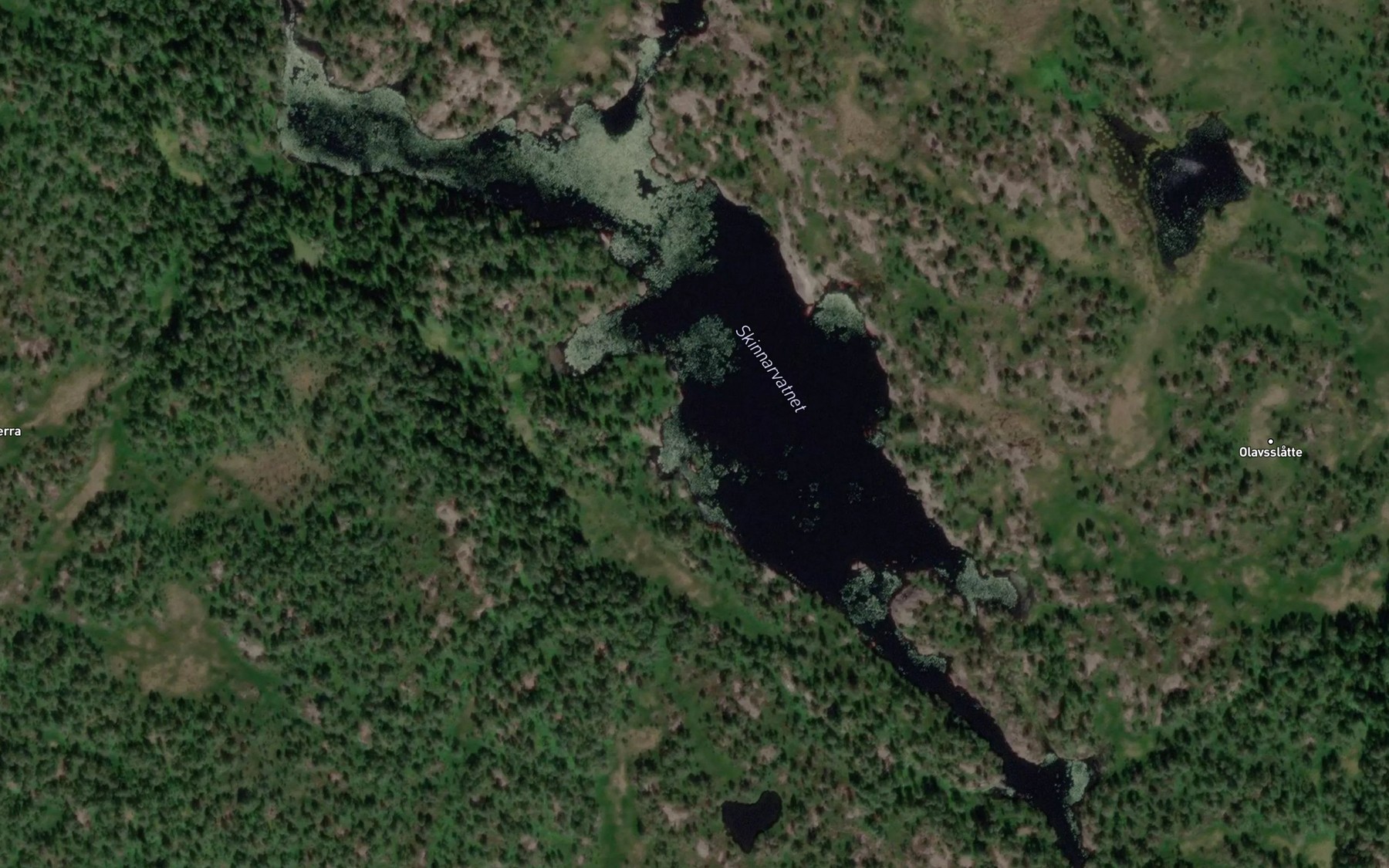 Satellite map of the Skinnarvatnet