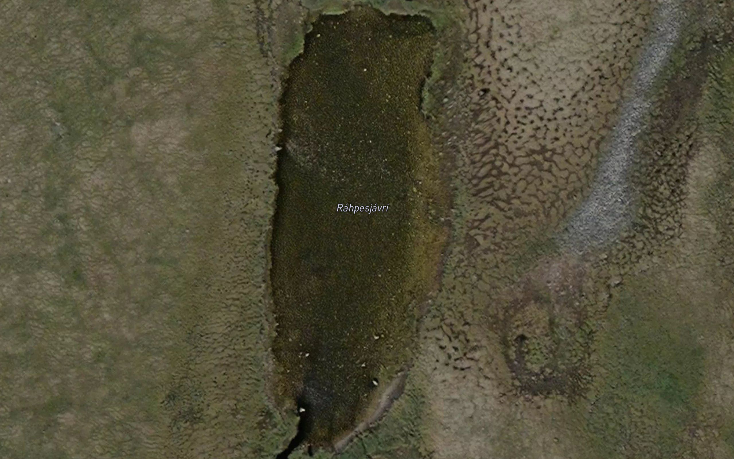 Rappesjavri