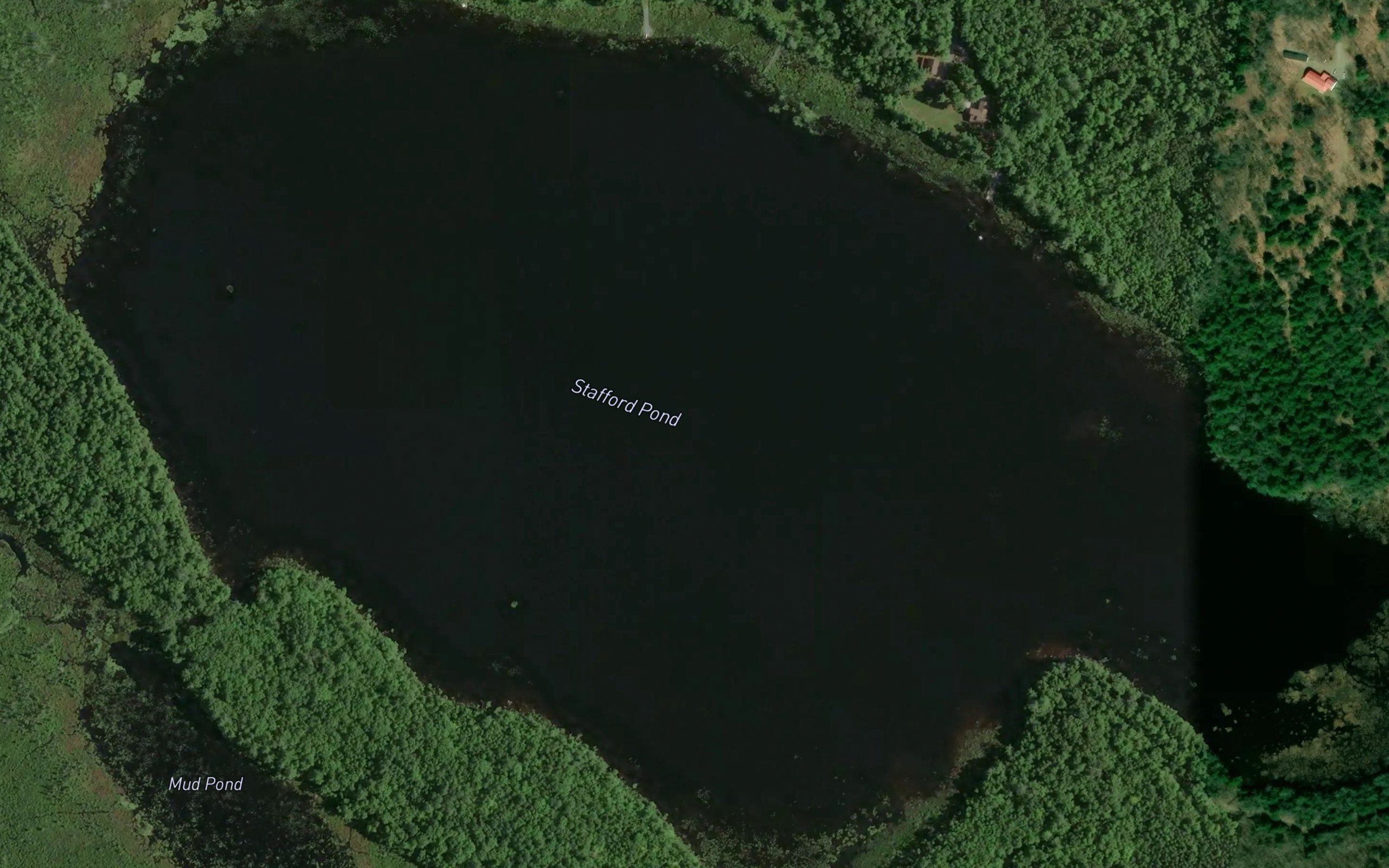 Stafford Pond