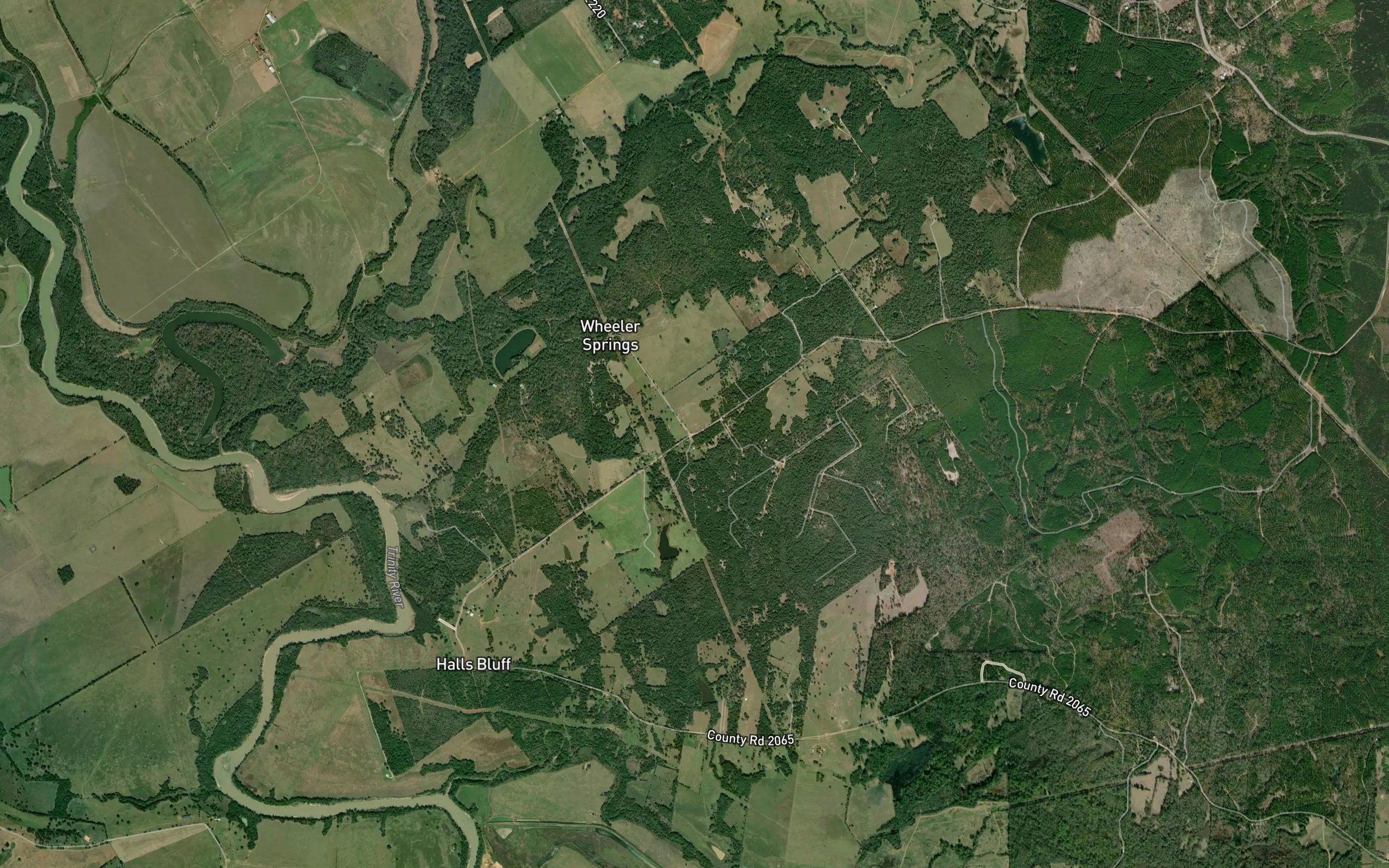 Wheeler Springs