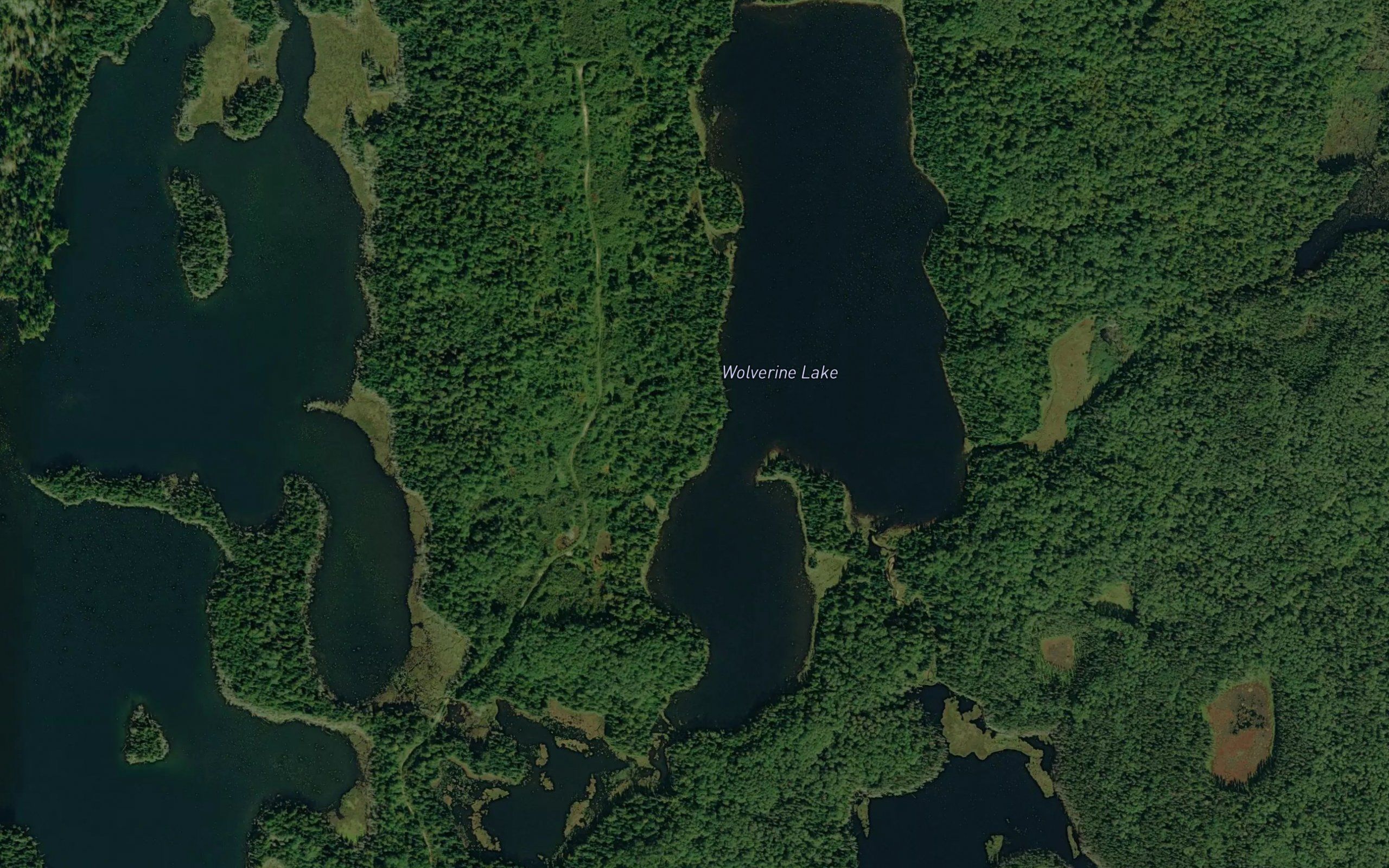 Wolverine Lake