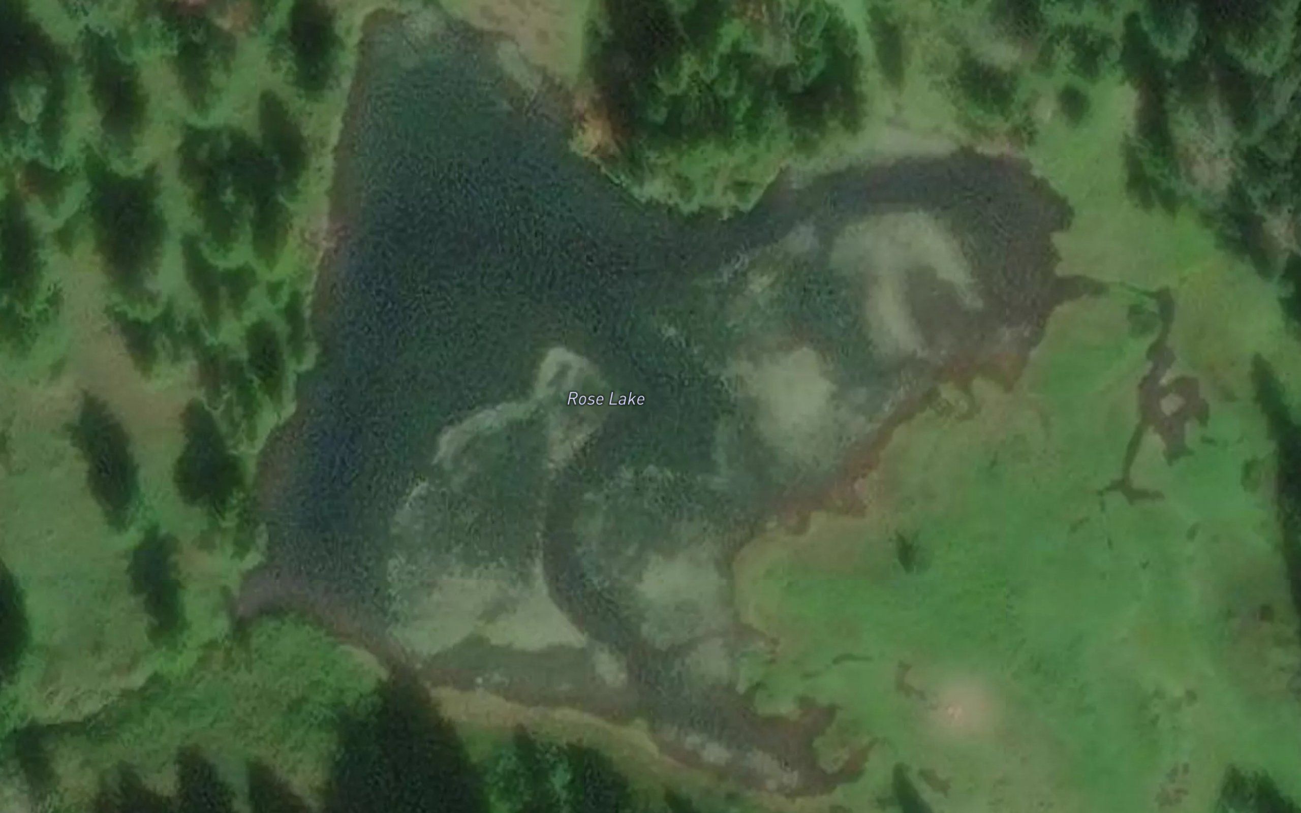 Rose Lake