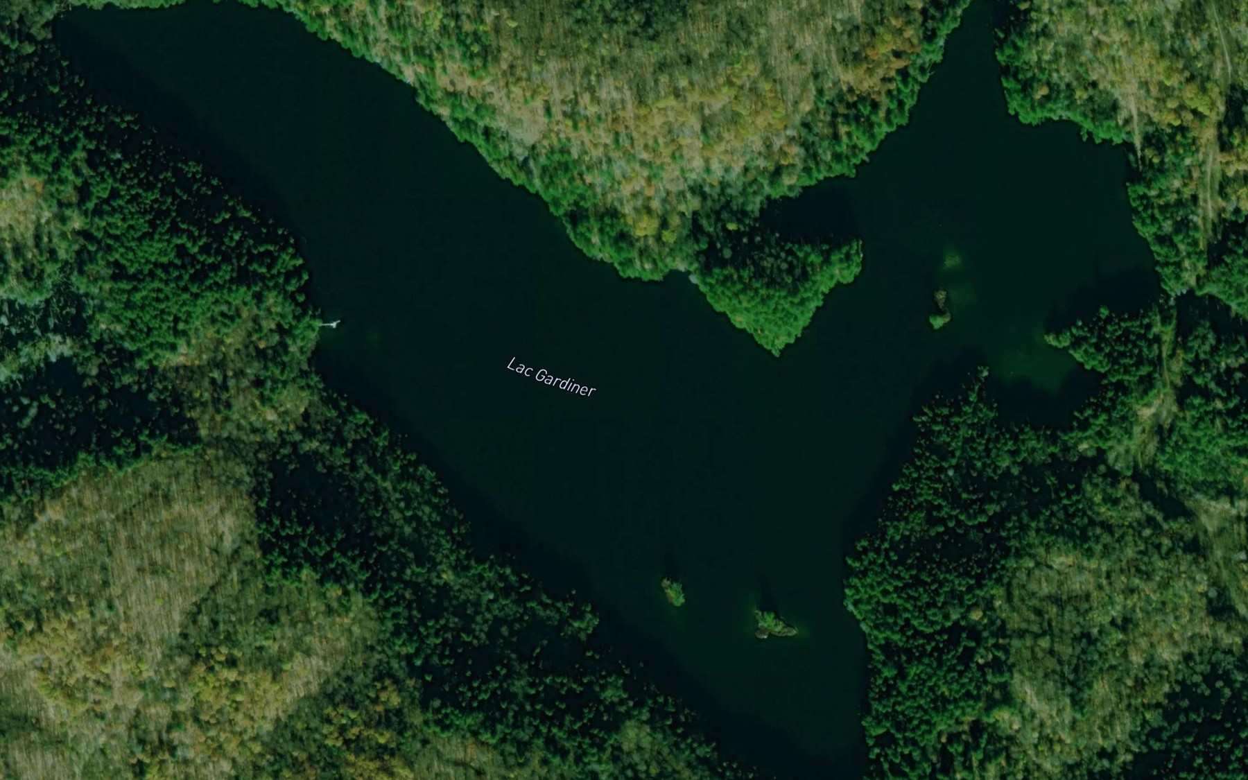 Satellite map of the Lac Gardiner