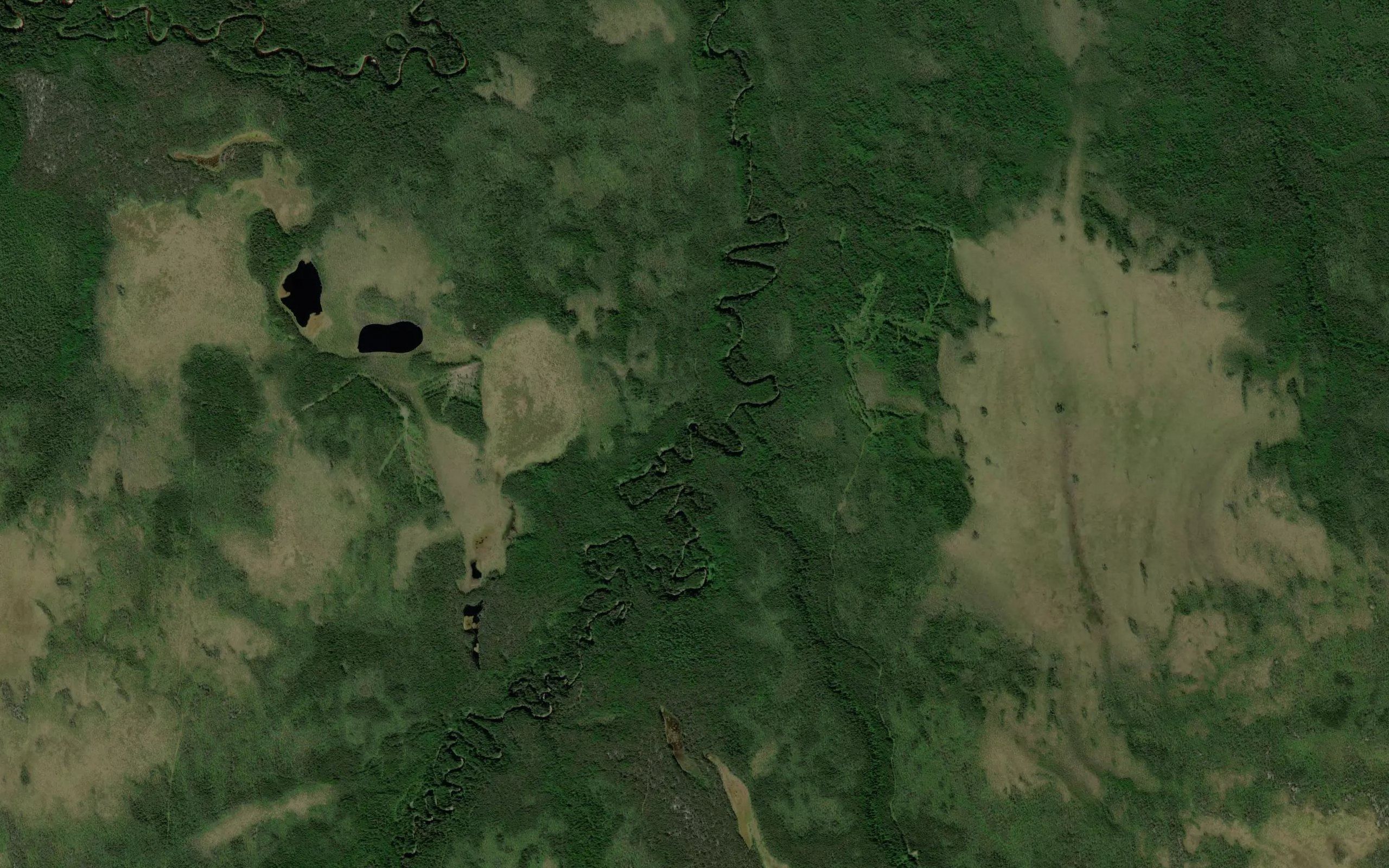 Yagolovka