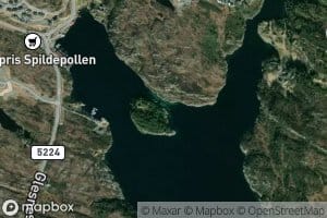 Spildapollen