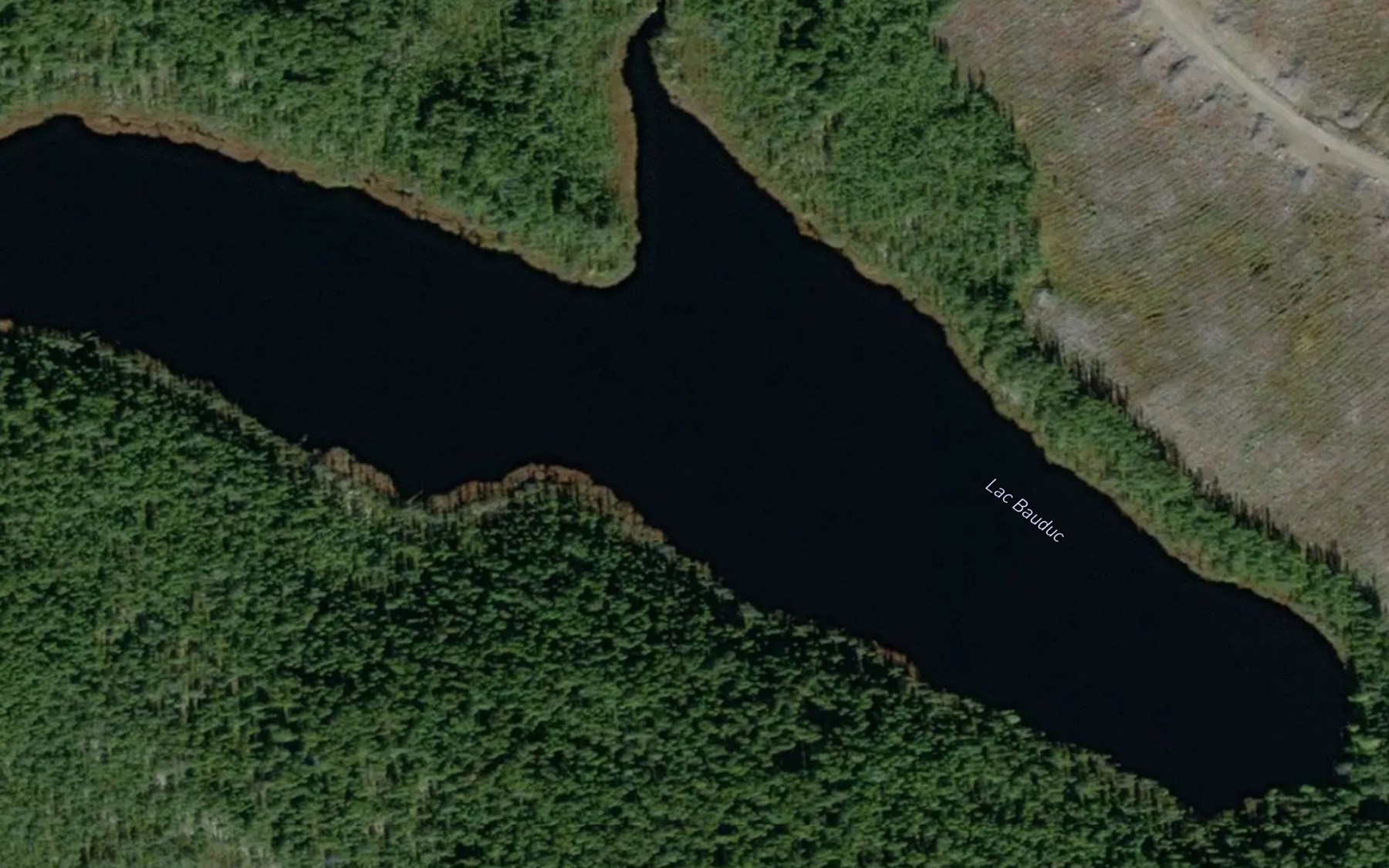 Satellite map of the Lac Bauduc