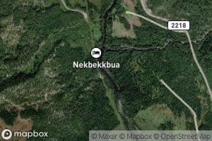 Nekstrommen