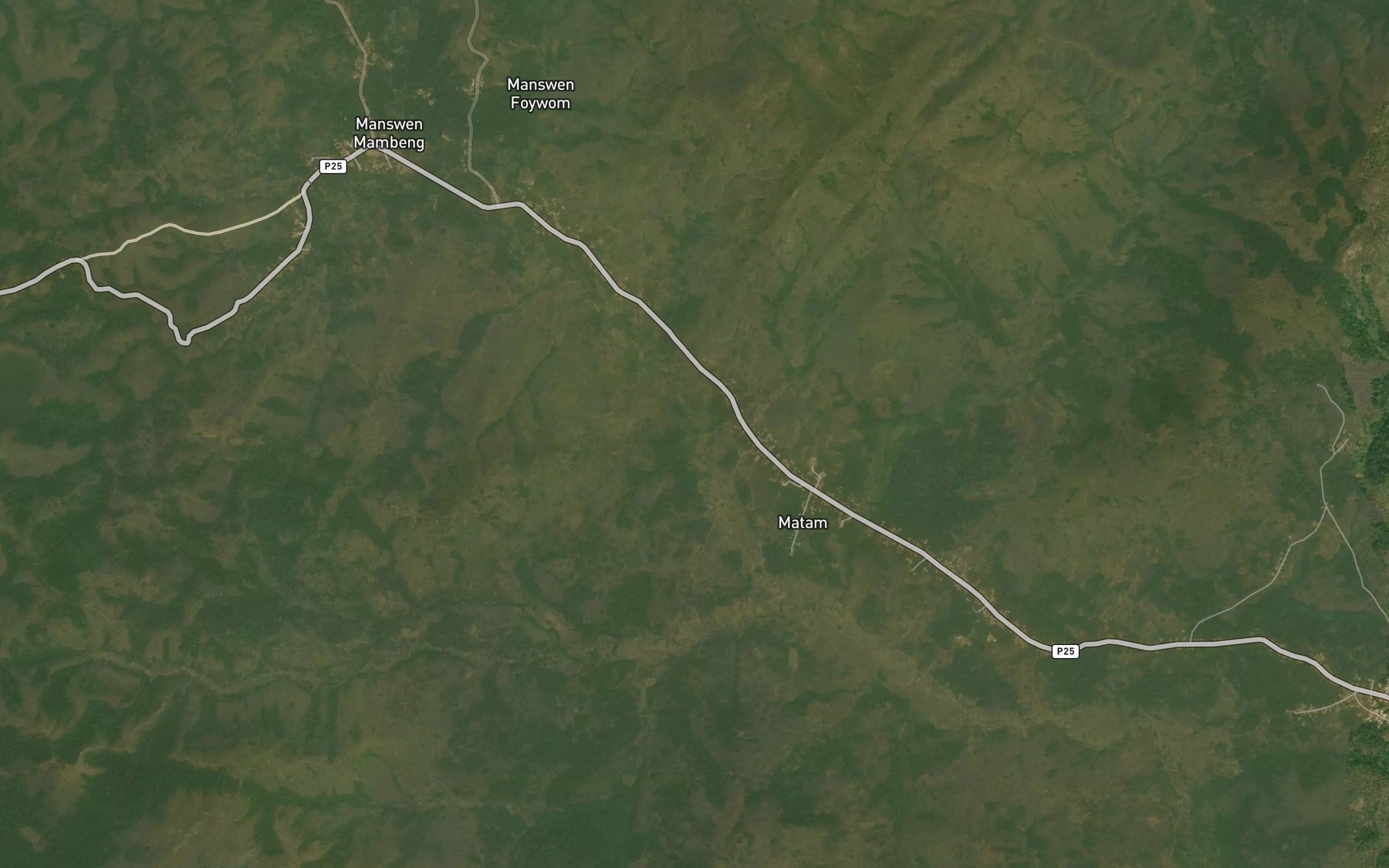 Satellite map of the Matam