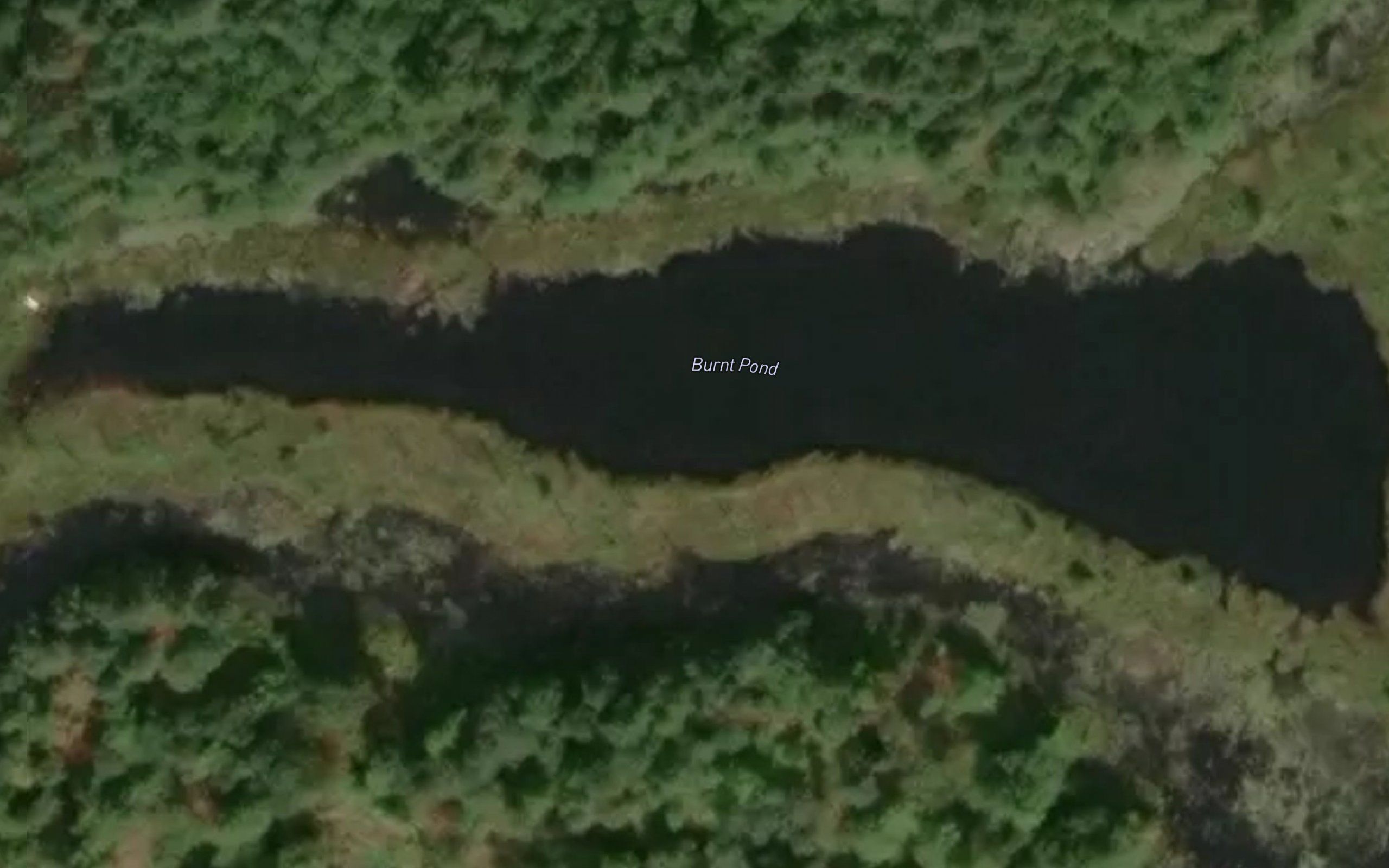 Burnt Pond
