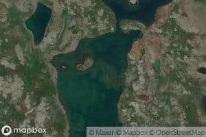 Lac Fox