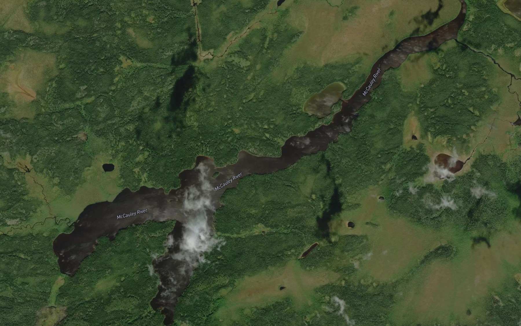 Satellite map of the Finn Lake