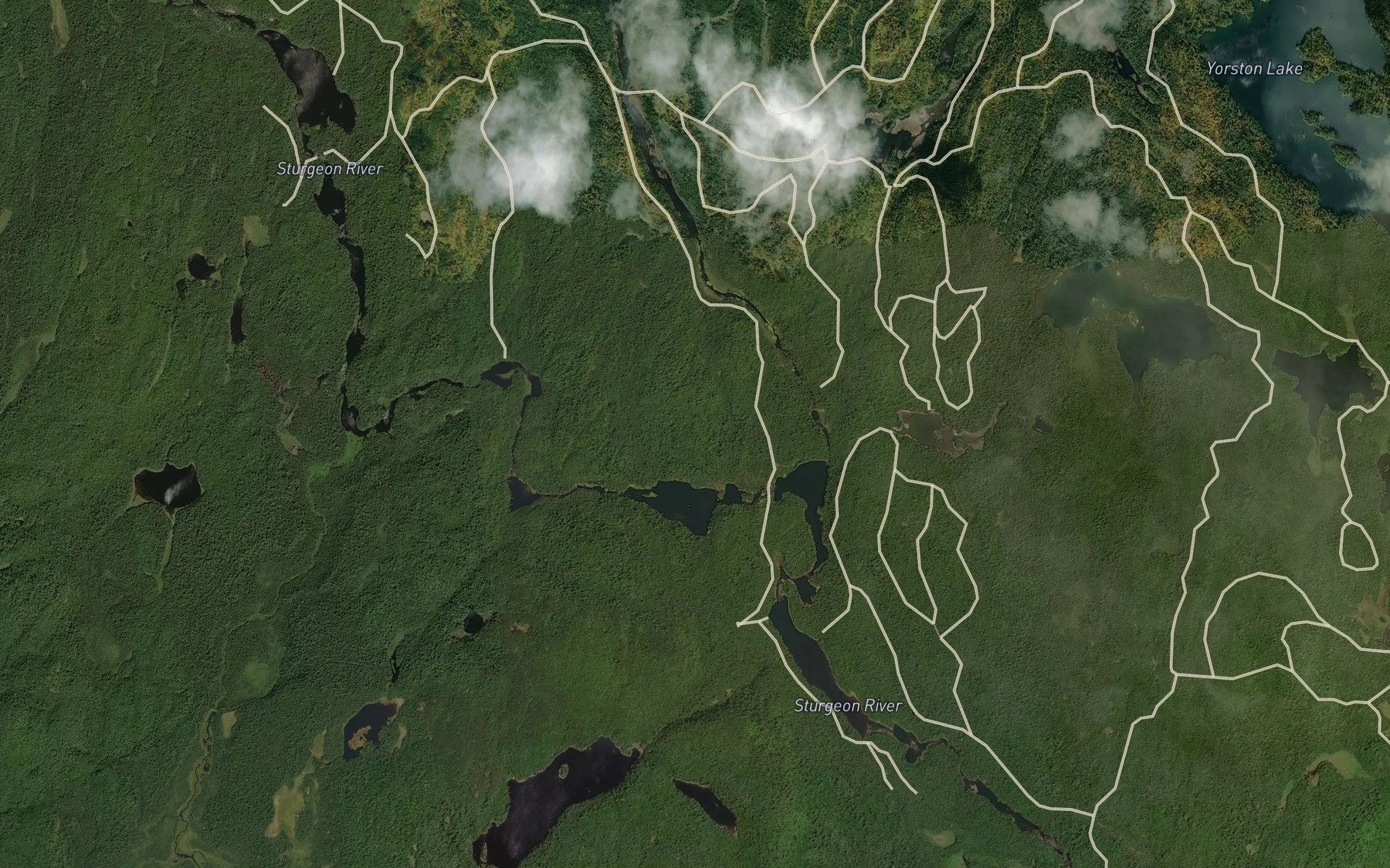 Satellite map of the Pilgrim Creek
