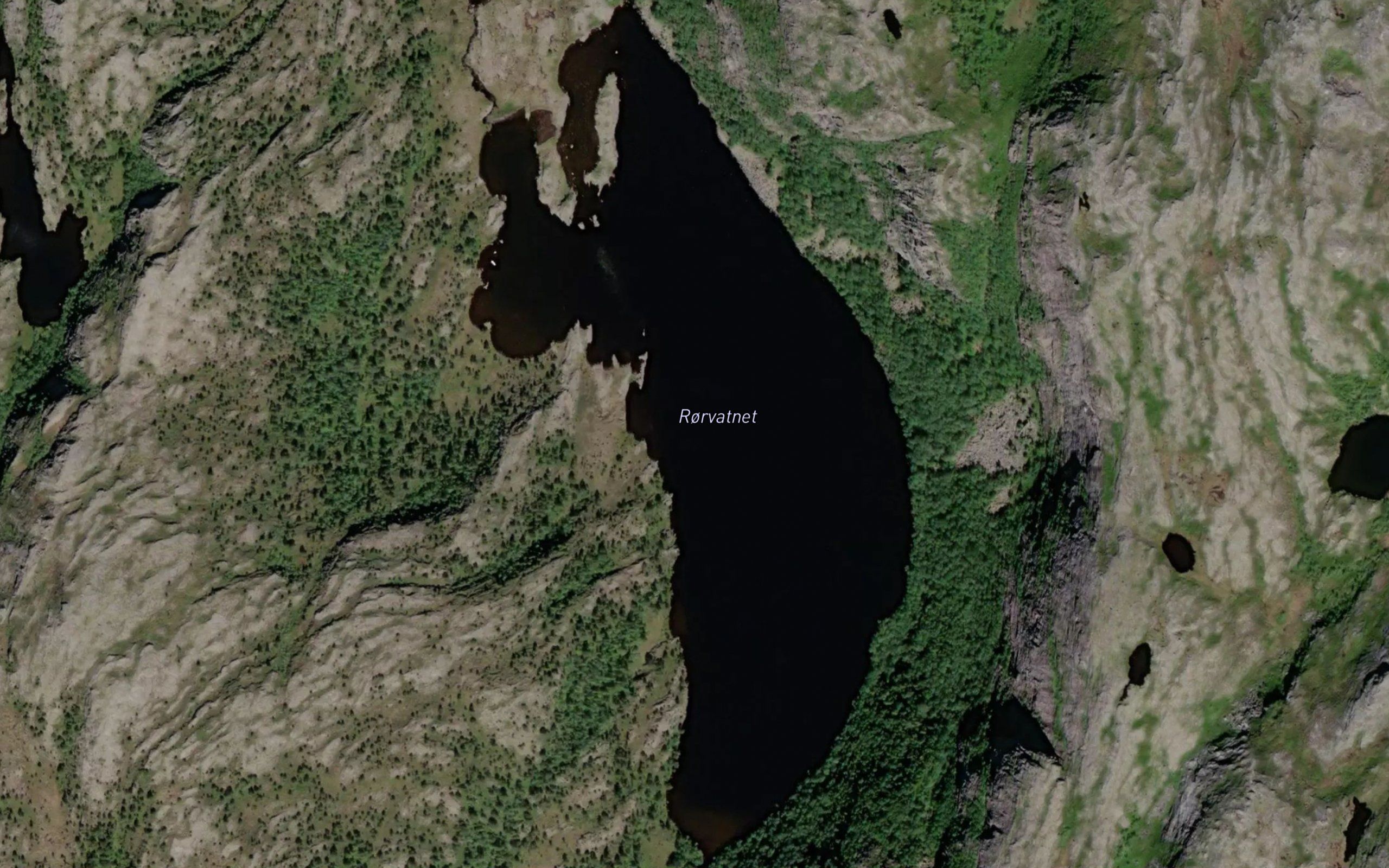 Rorvatnet