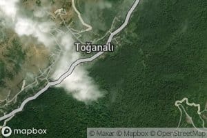 Toganalisuyu