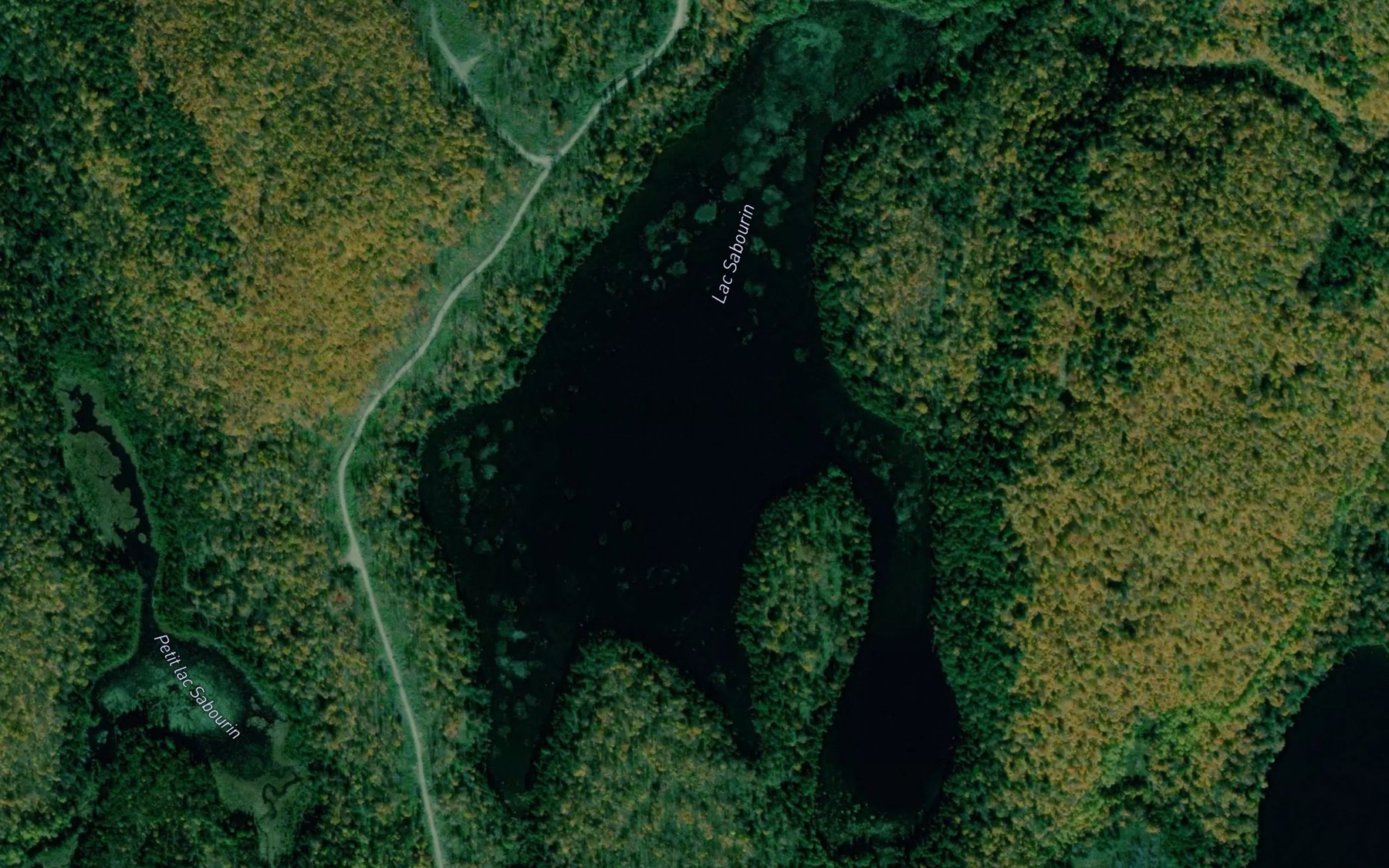 Satellite map of the Lac Sabourin