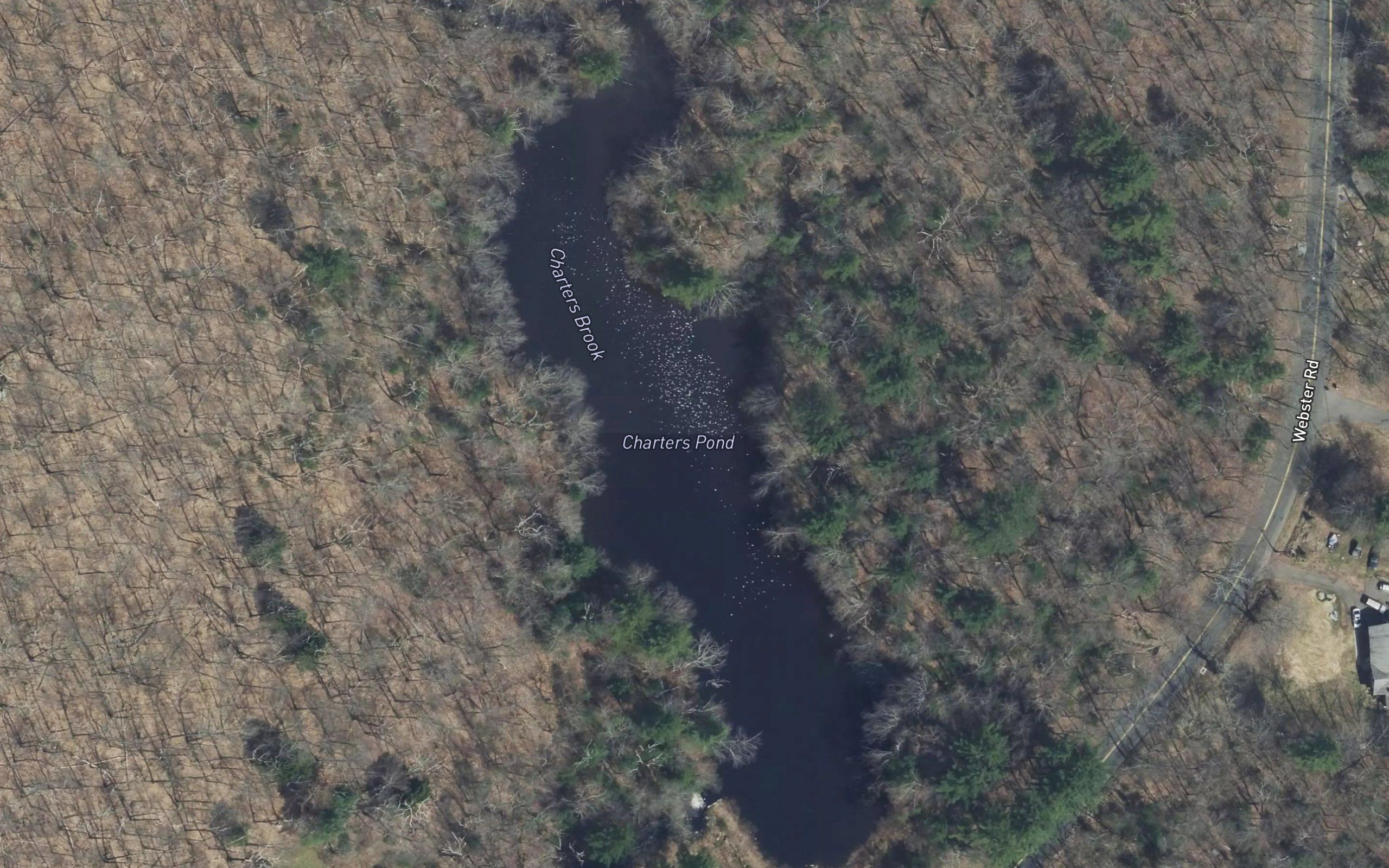 Charters Pond