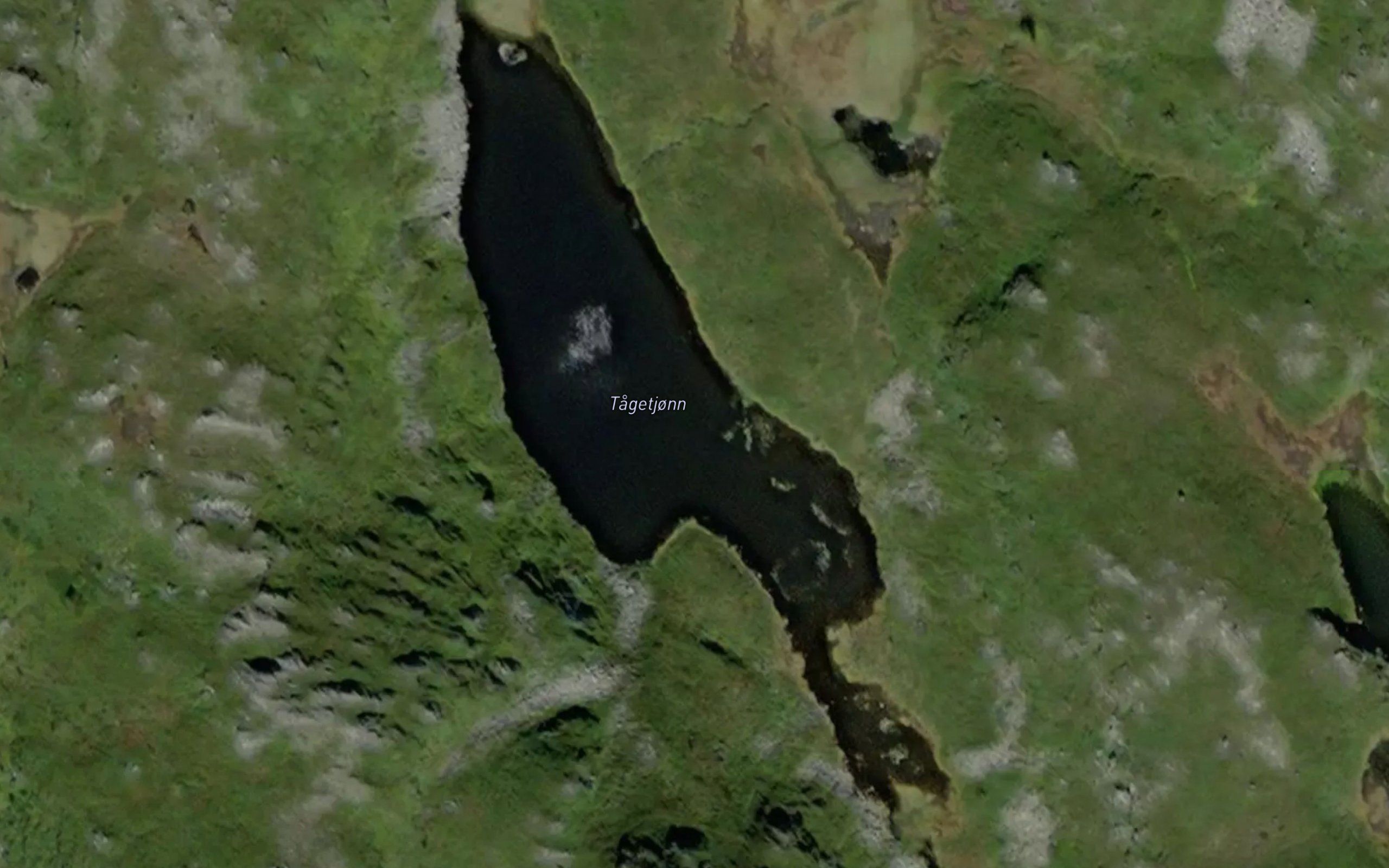 Tagetjorn