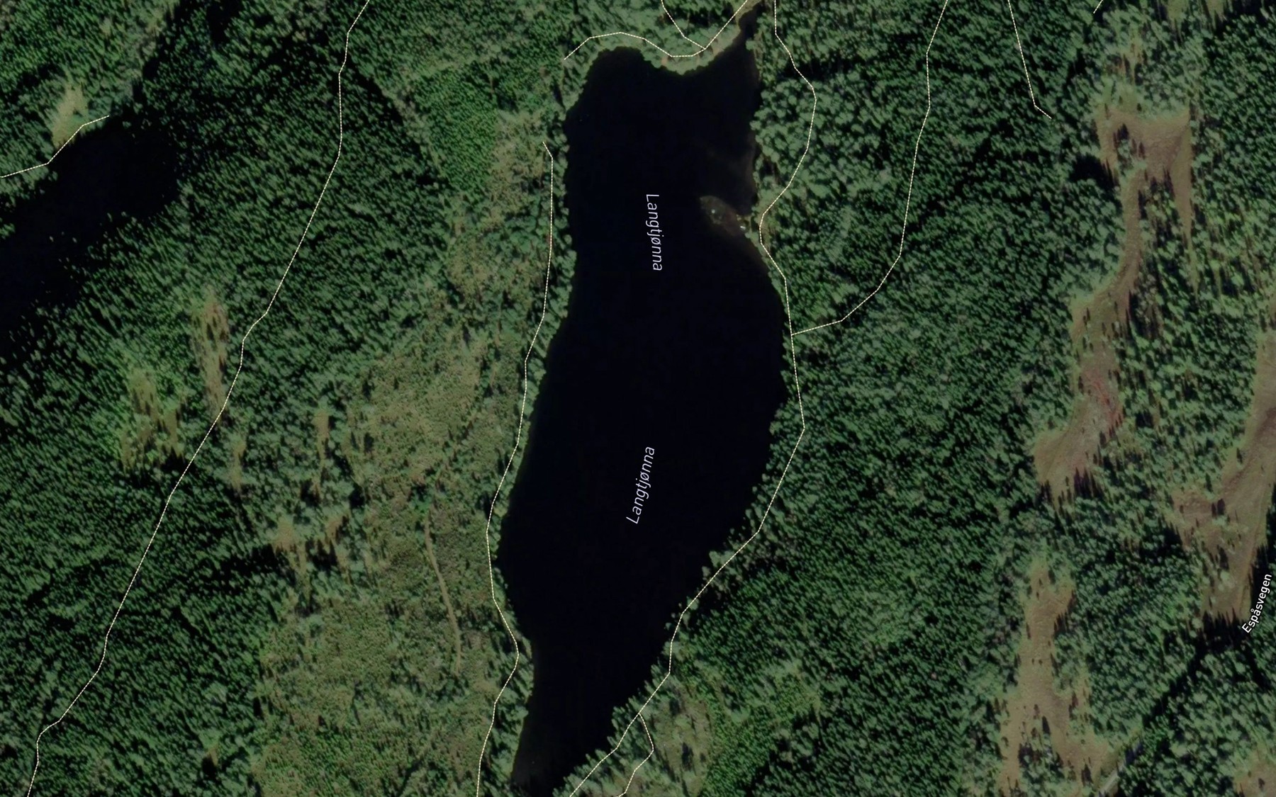Satellite map of the Langtjorna