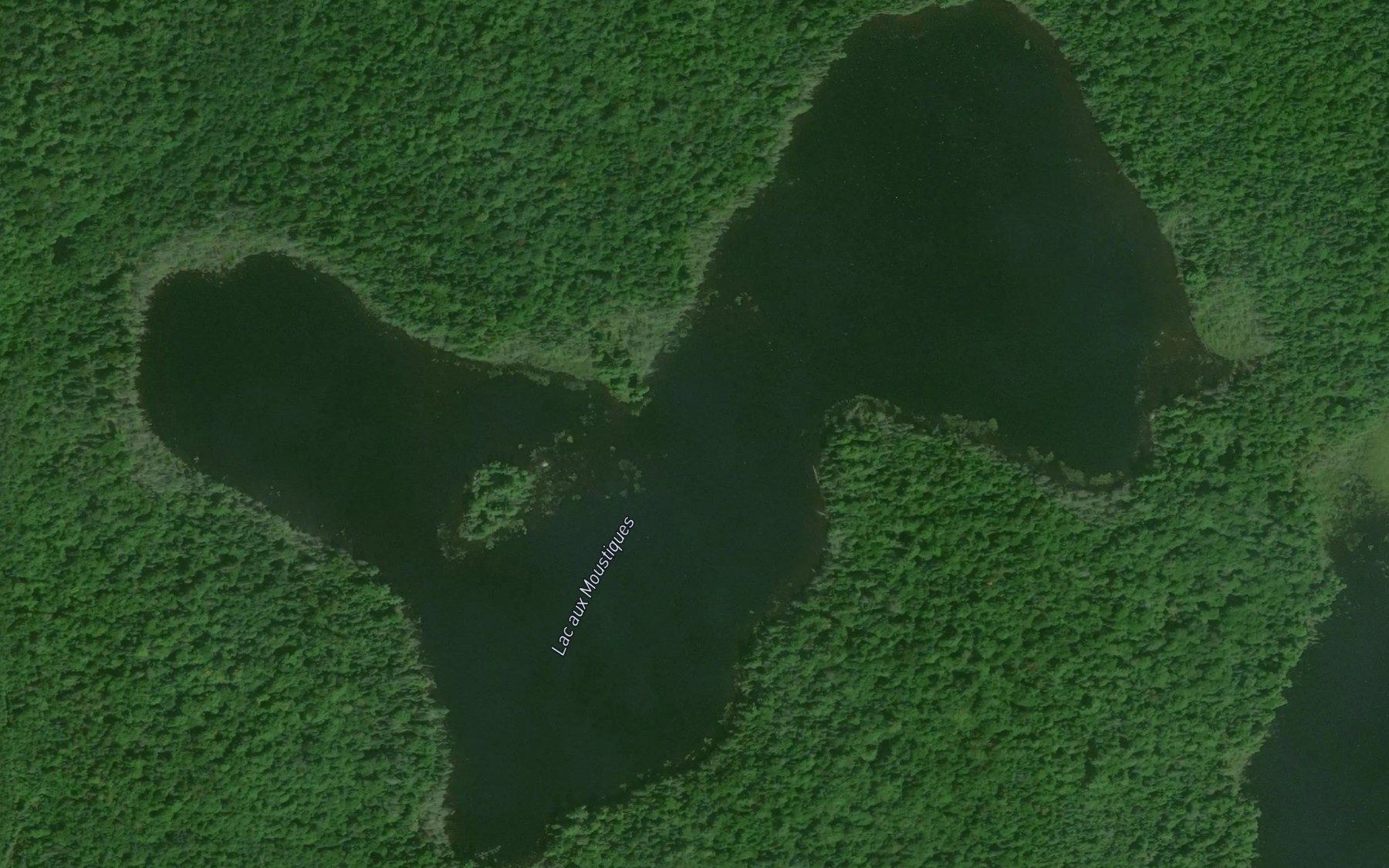 Satellite map of the Lac aux Moustiques