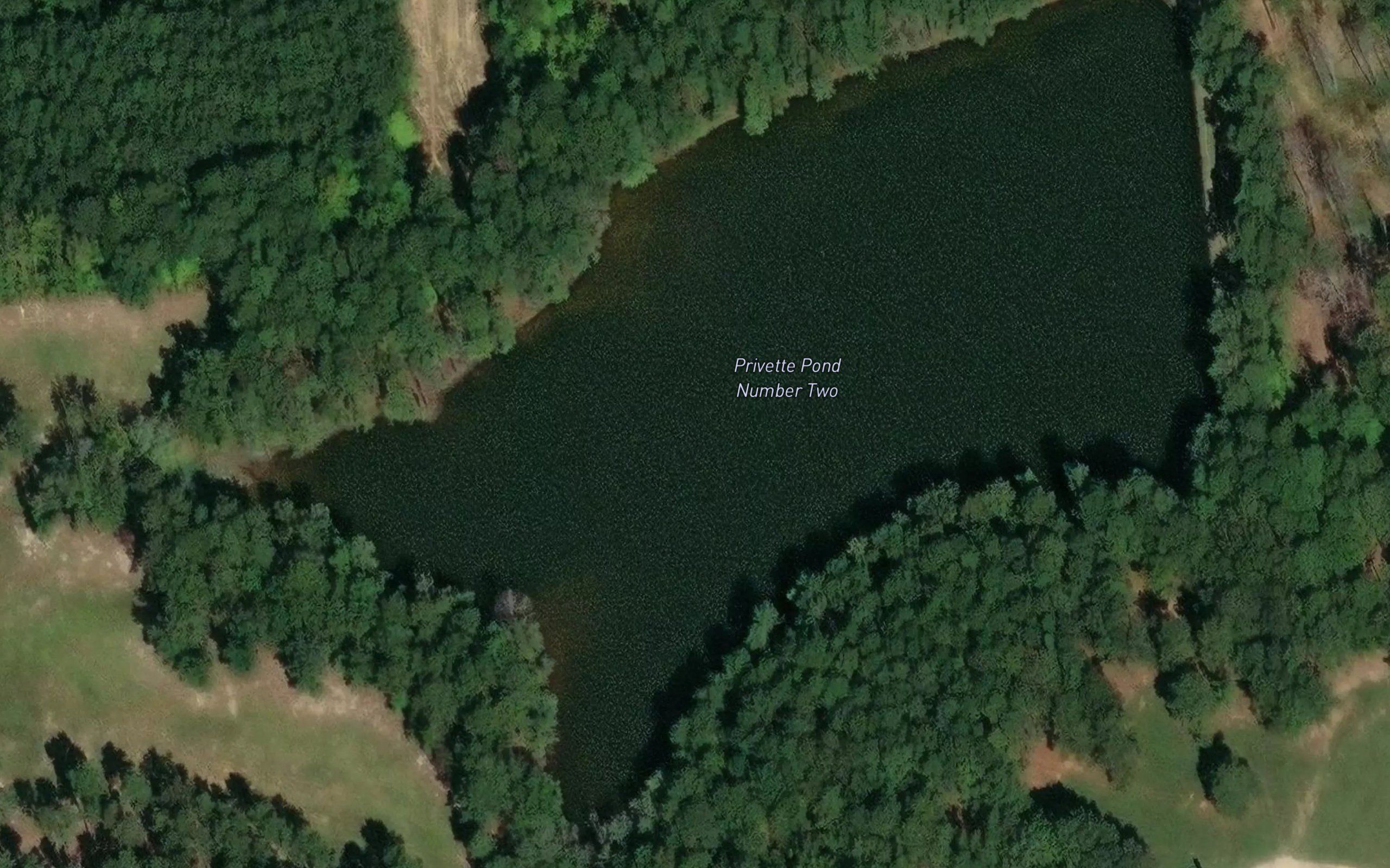 Privette Pond Number Two