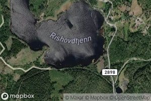 Rishovdtjern