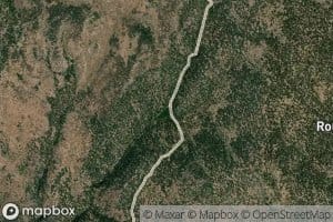 Buckskin Spring