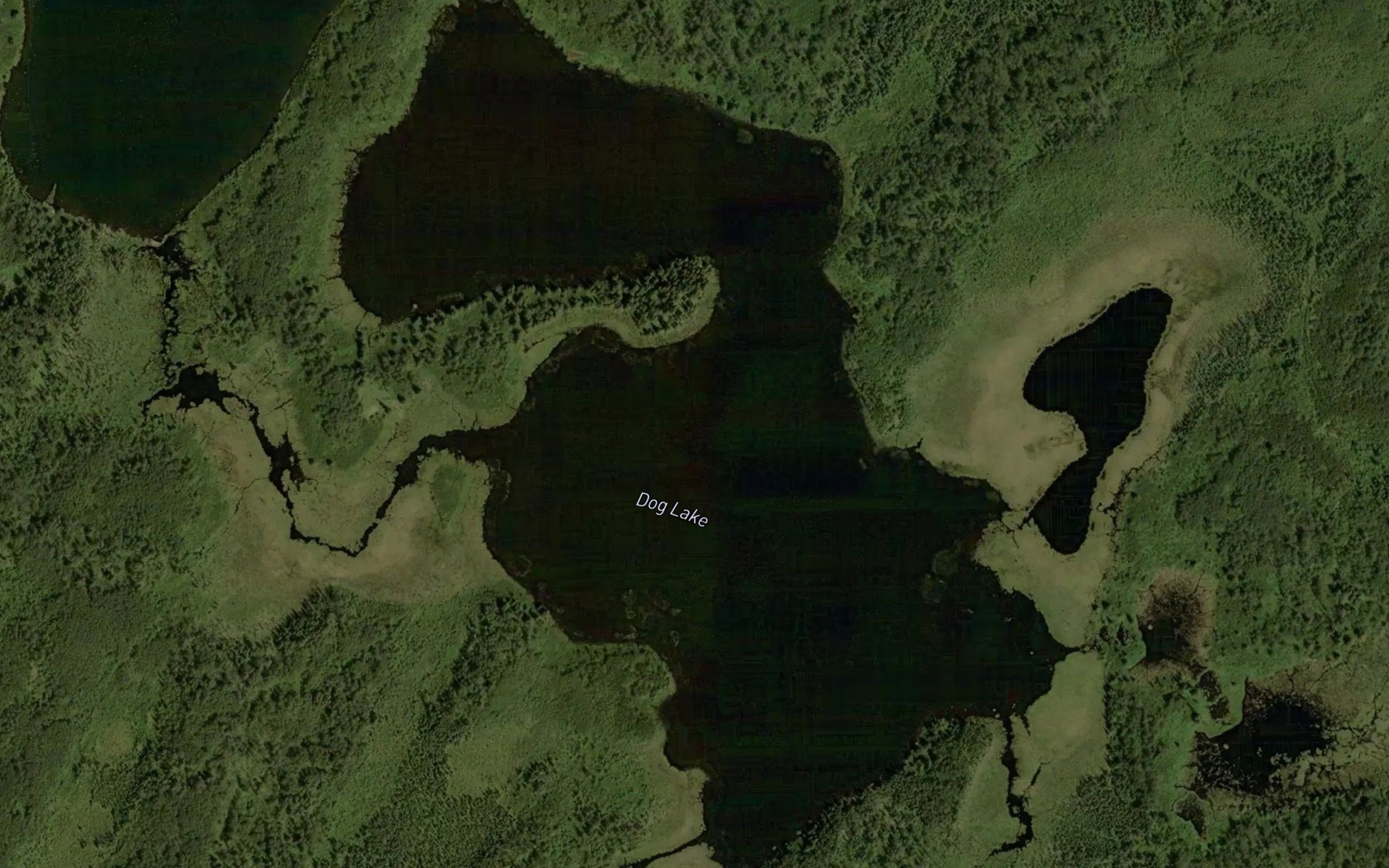 Satellite map of the Dog Lake