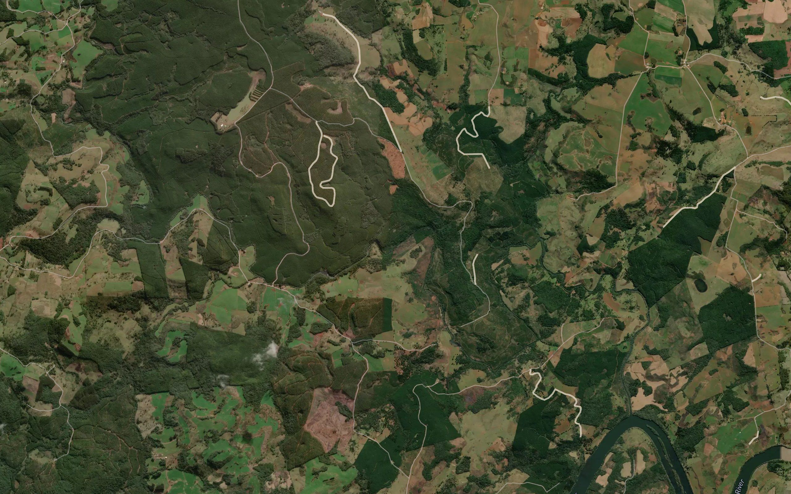 Rio do Pinto